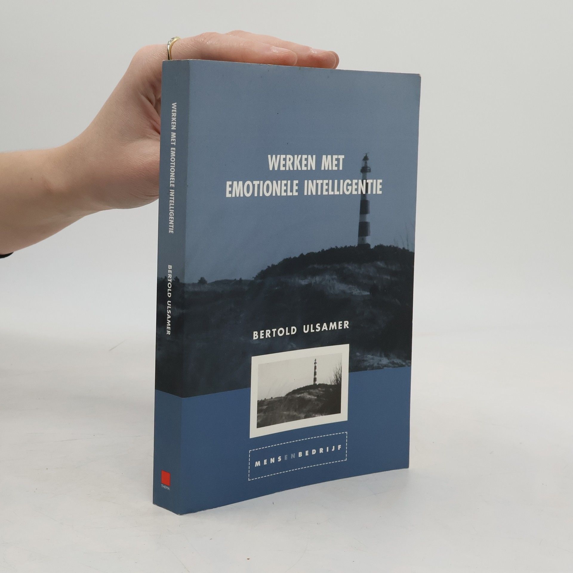 Bertold Ulsamer Werken met emotionele intelligentie