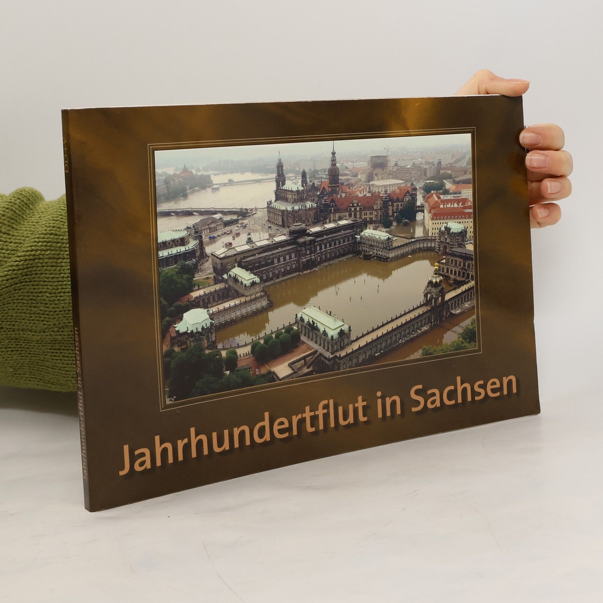 Monika Dänhardt Jahrhundertflut in Sachsen