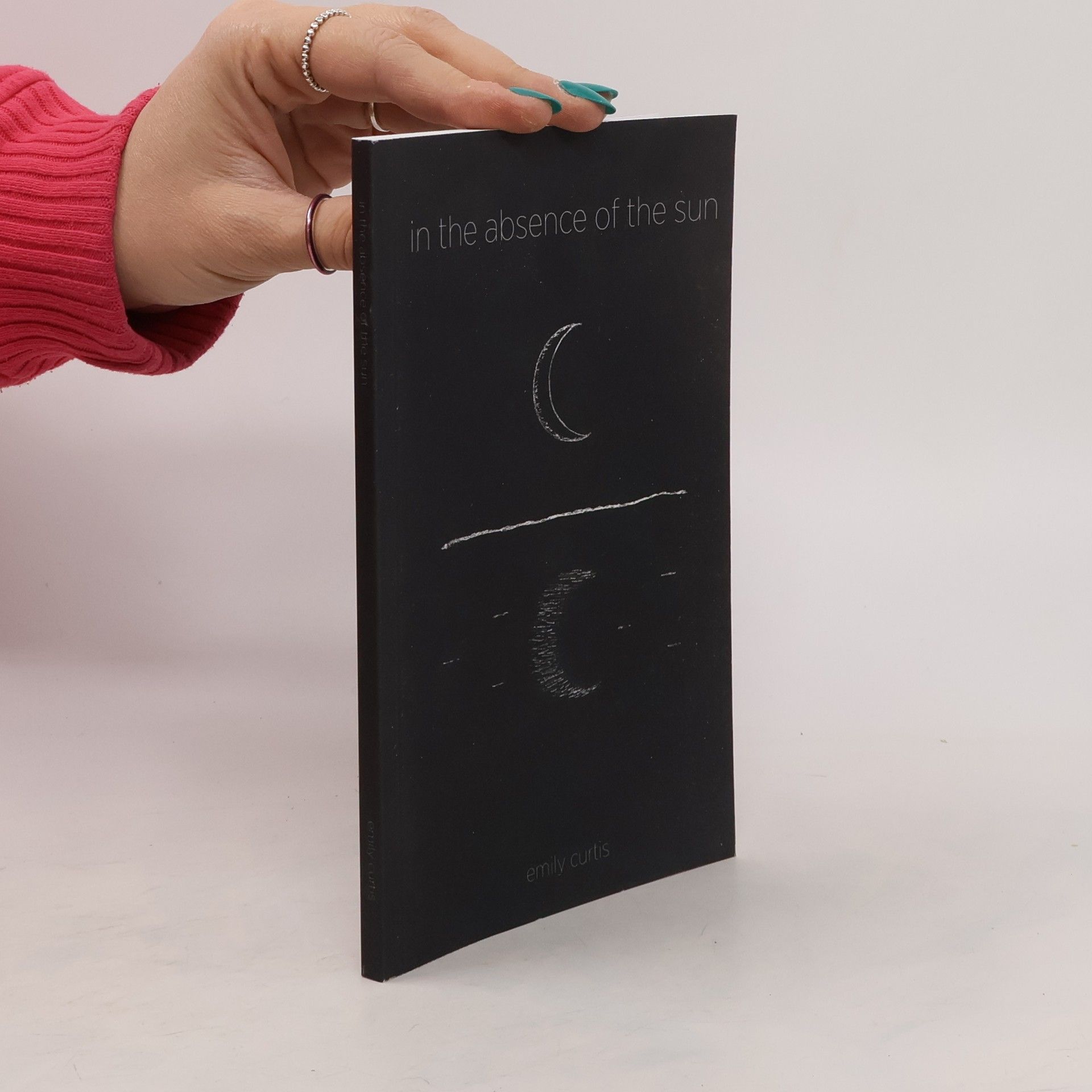 Emily Curtis In the Absence of the Sun