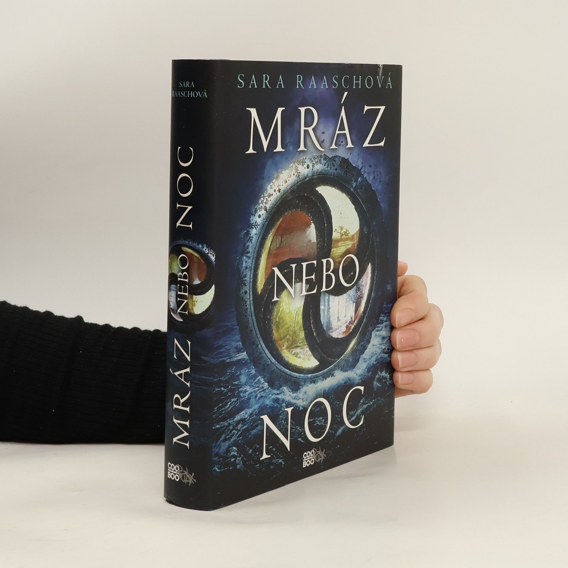 Sara Raasch Mráz nebo noc