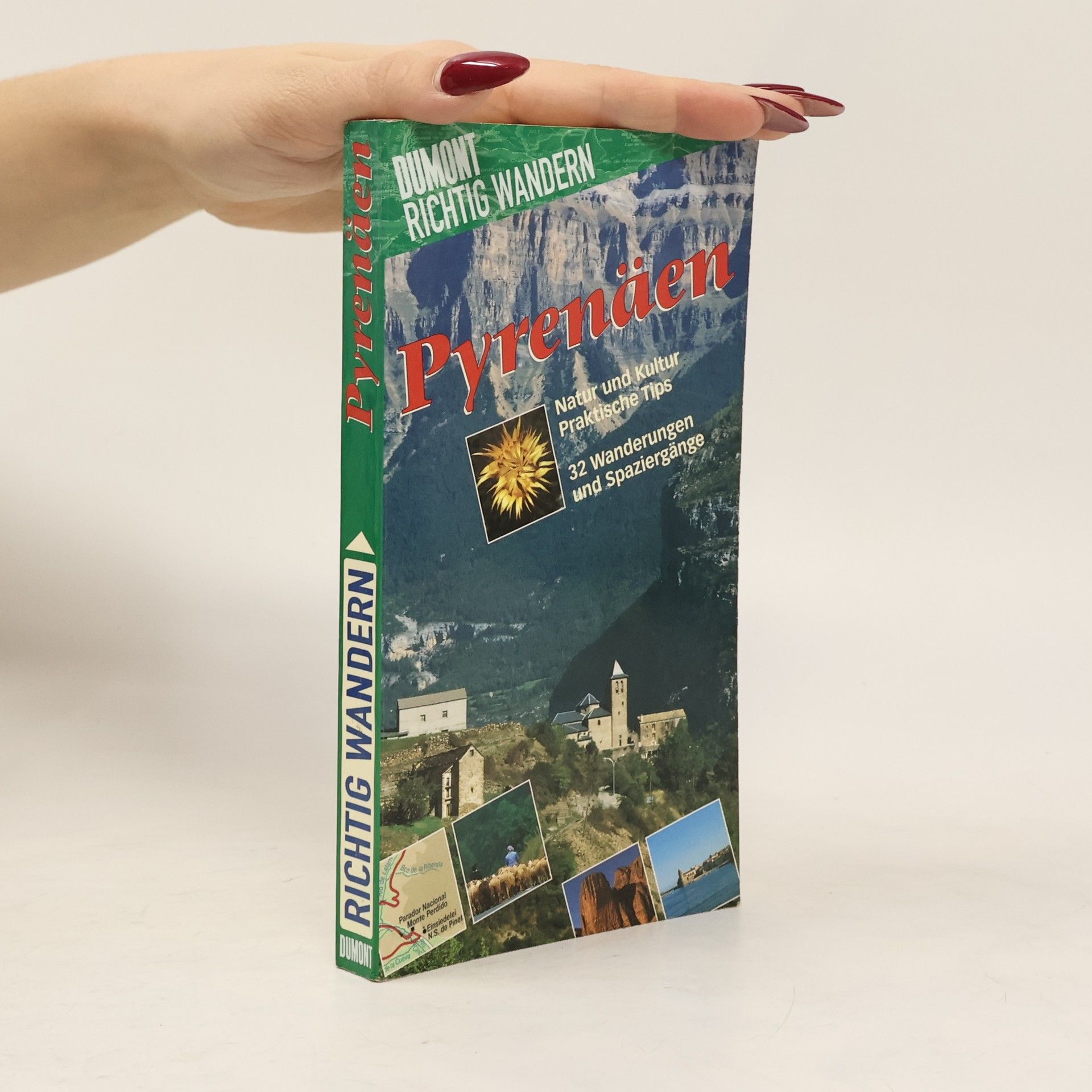 Susanne Lipps Pyrenäen