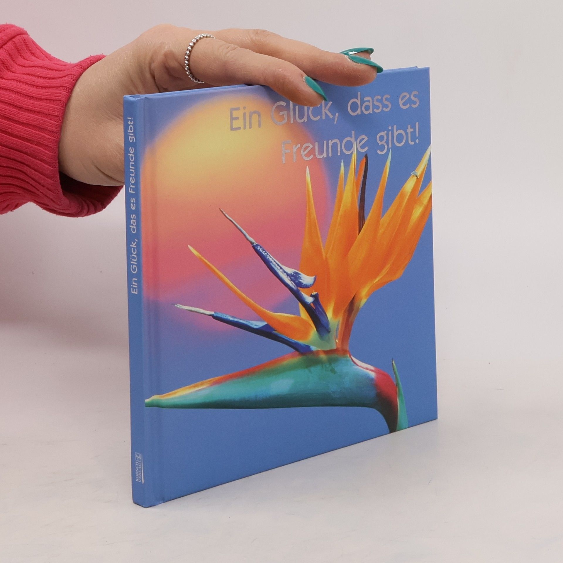 AA.VV. Ein Glück, dass es Freunde gibt!