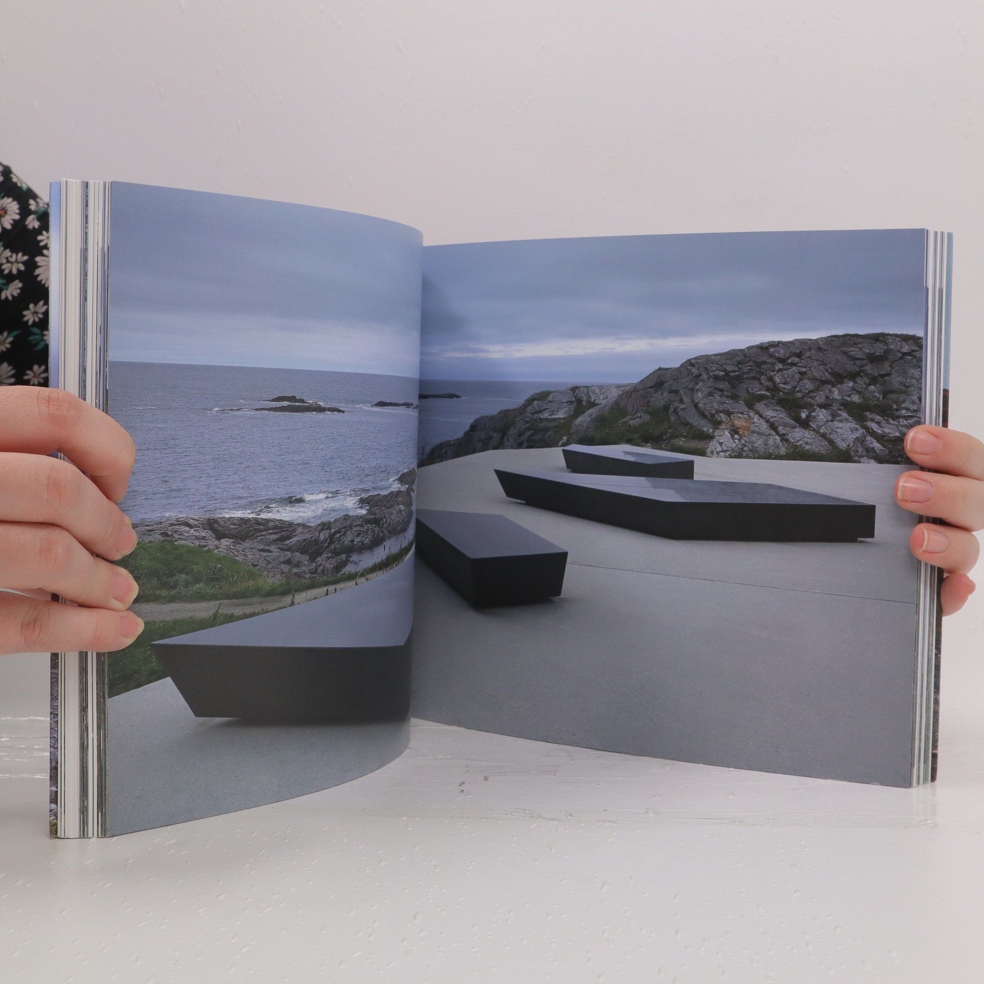 Various authors Norway. Artscape.
