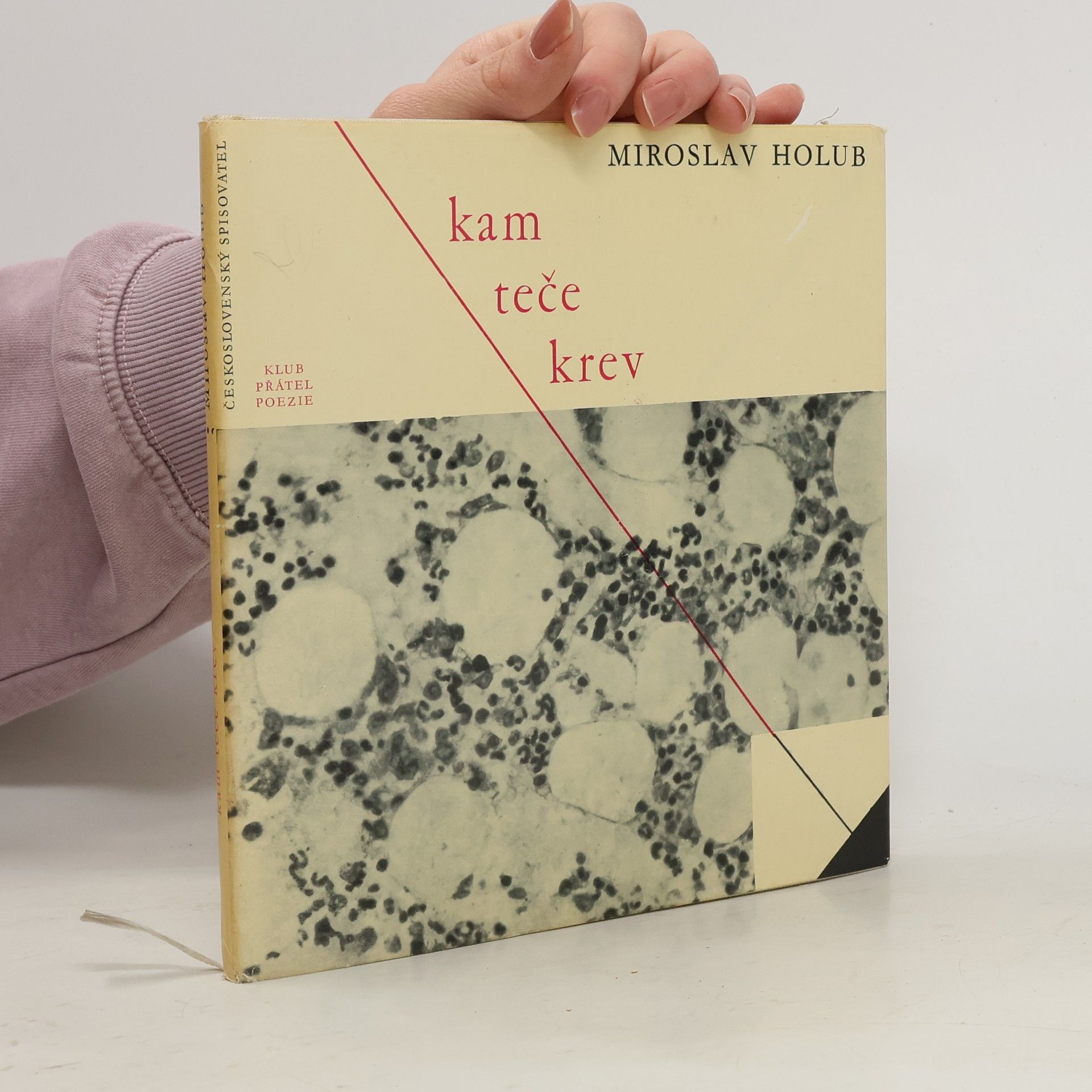 Miroslav Holub Kam teče krev
