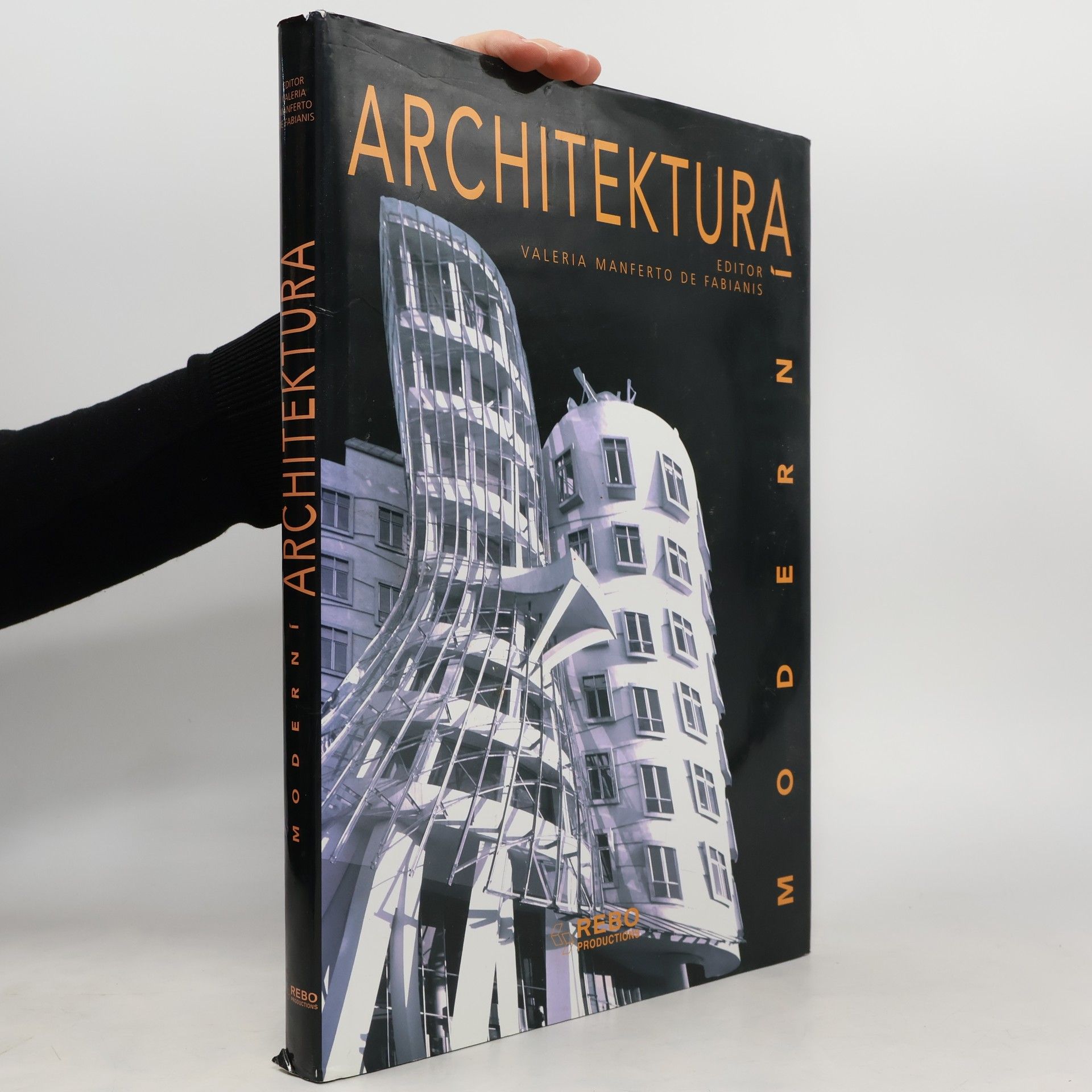 Valeria Manferto De Fabianis Moderní architektura