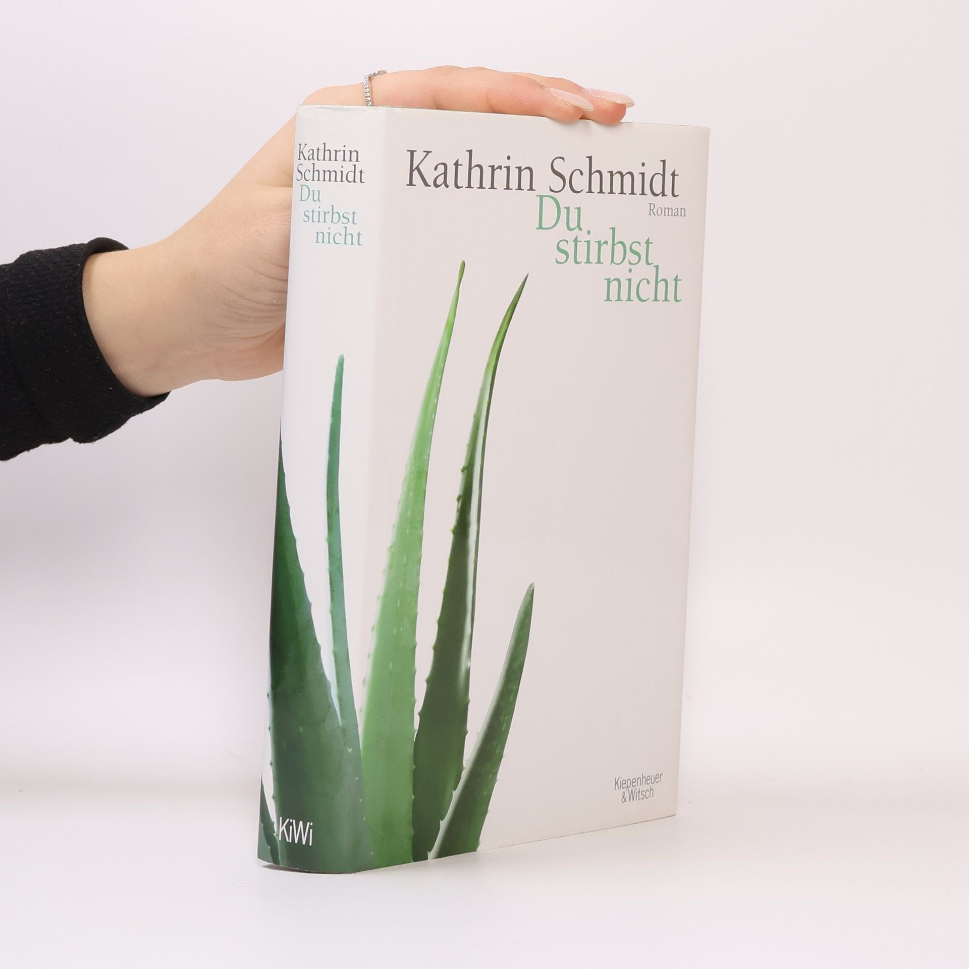 Kathrin Schmidt Du stirbst nicht