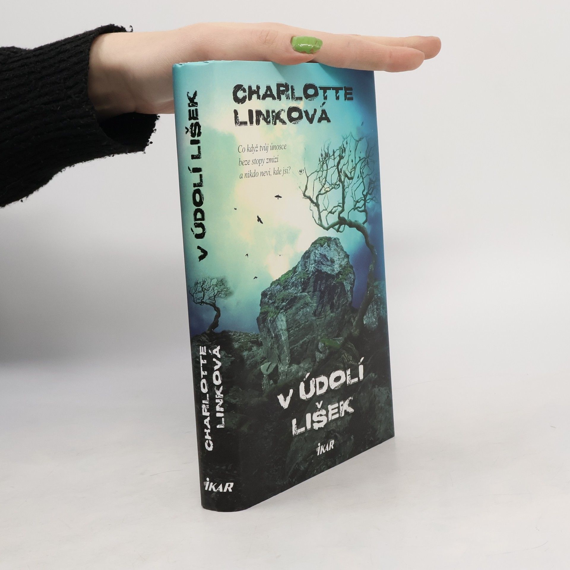 Charlotte Link V údolí lišek