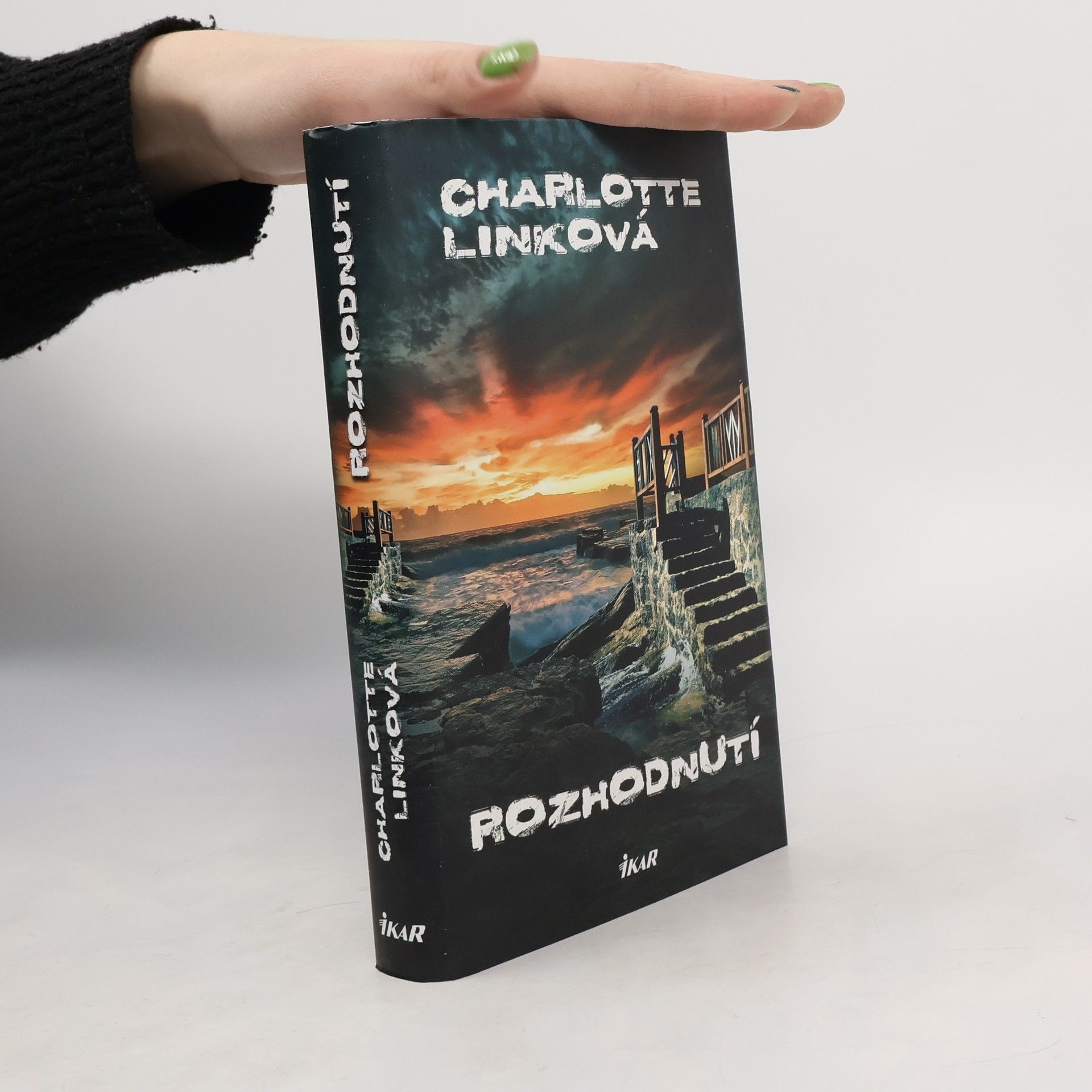 Charlotte Link Rozhodnutí