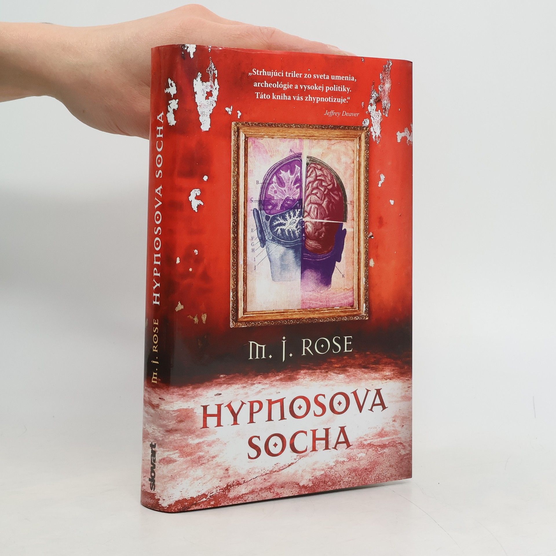 M. J. Rose Hypnosova socha