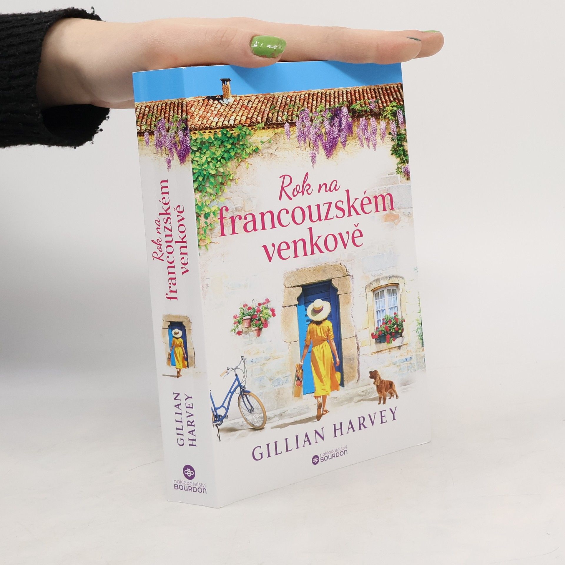 Gillian Harvey Rok na francouzském venkově