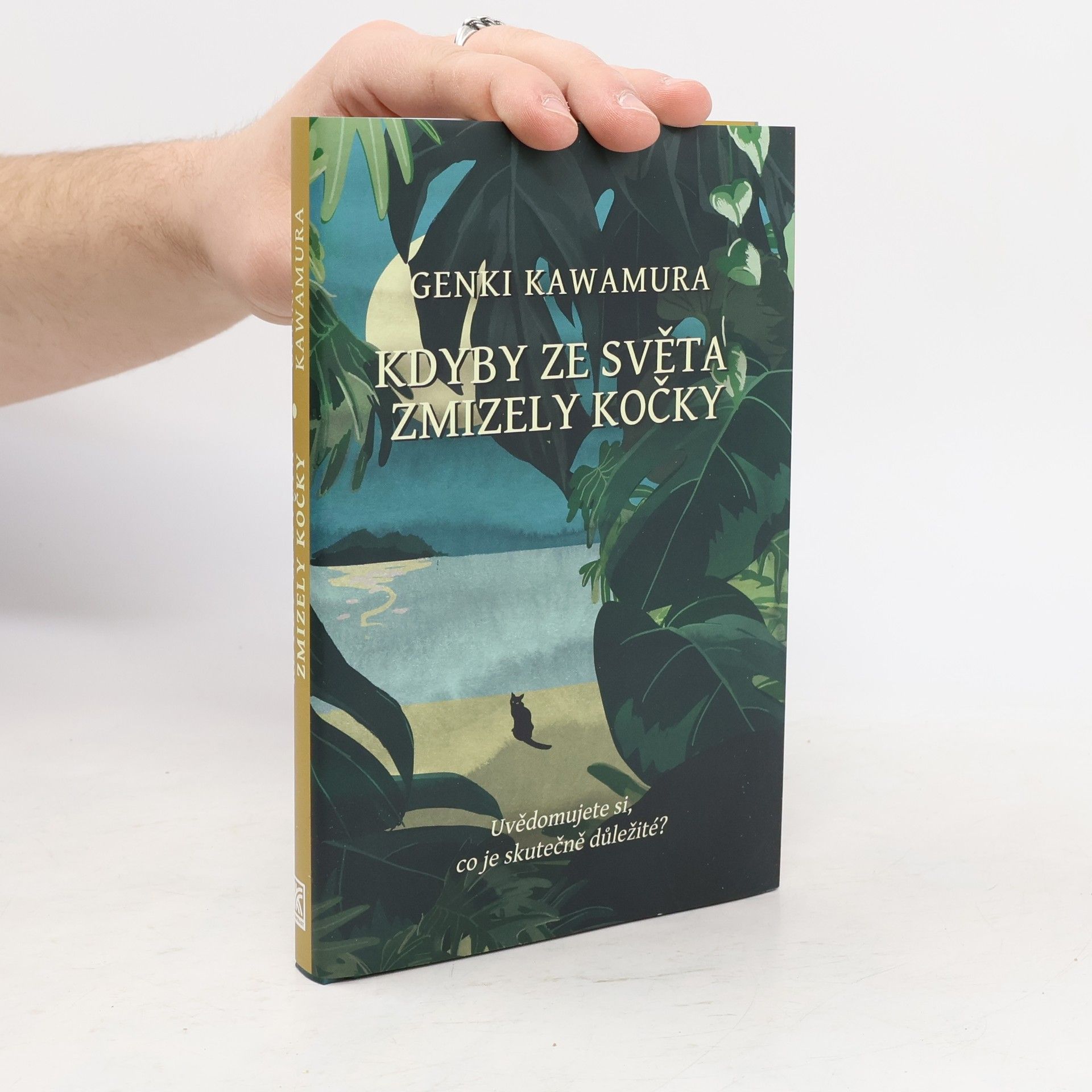 Genki Kawamura Kdyby ze světa zmizely kočky