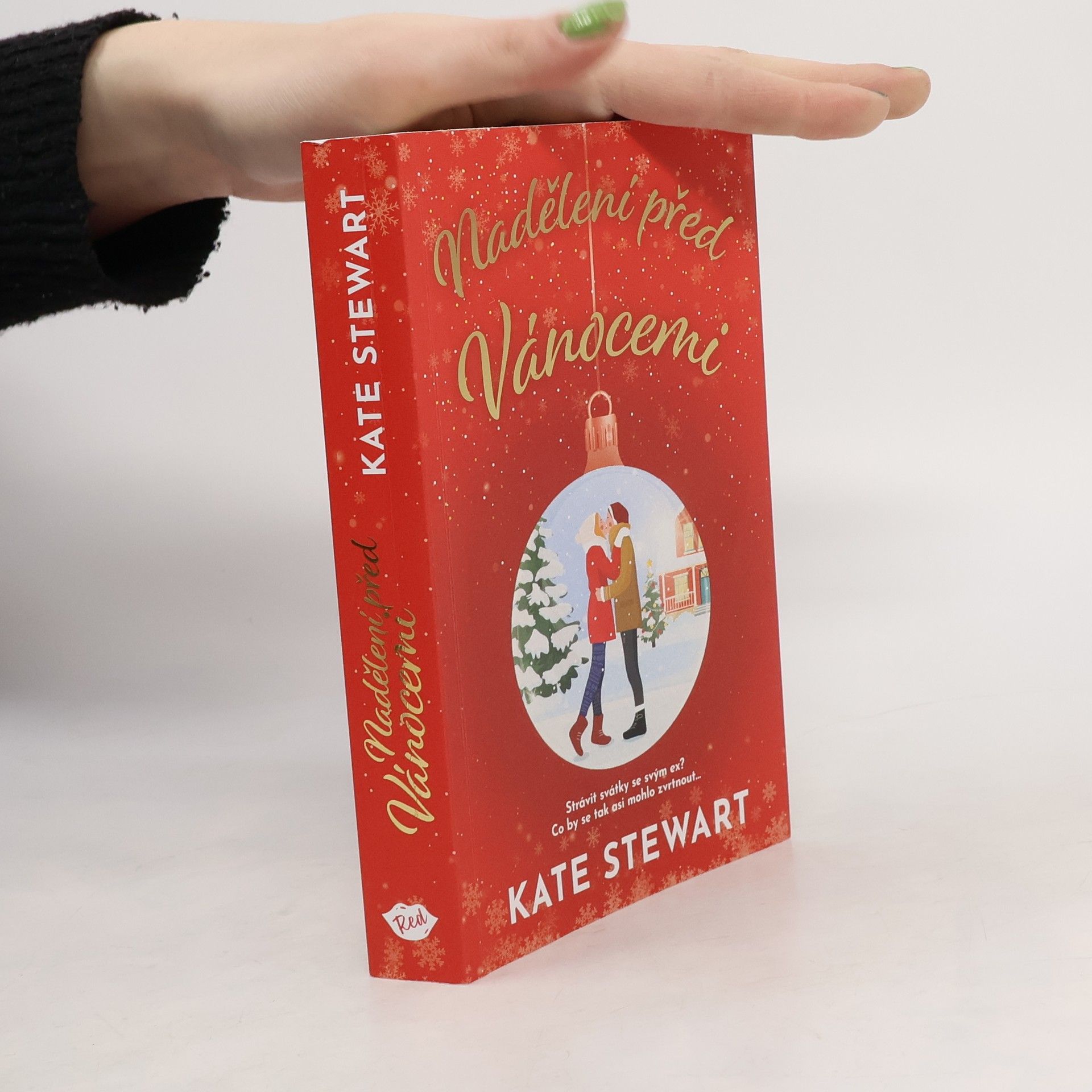 Kate Stewart Nadělení před Vánocemi