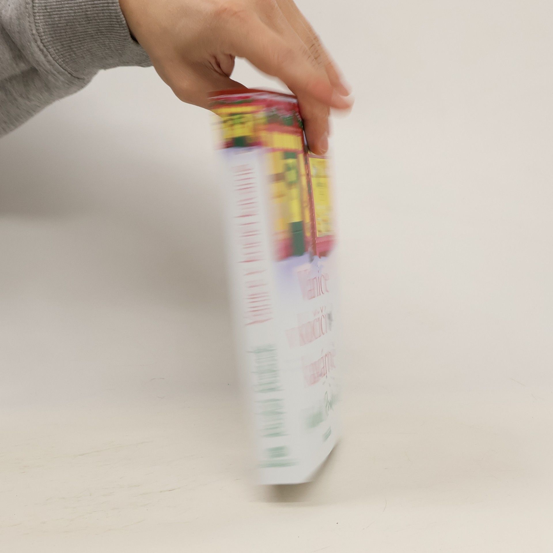 Rachel Rowlands Vánice v kočičí kavárně