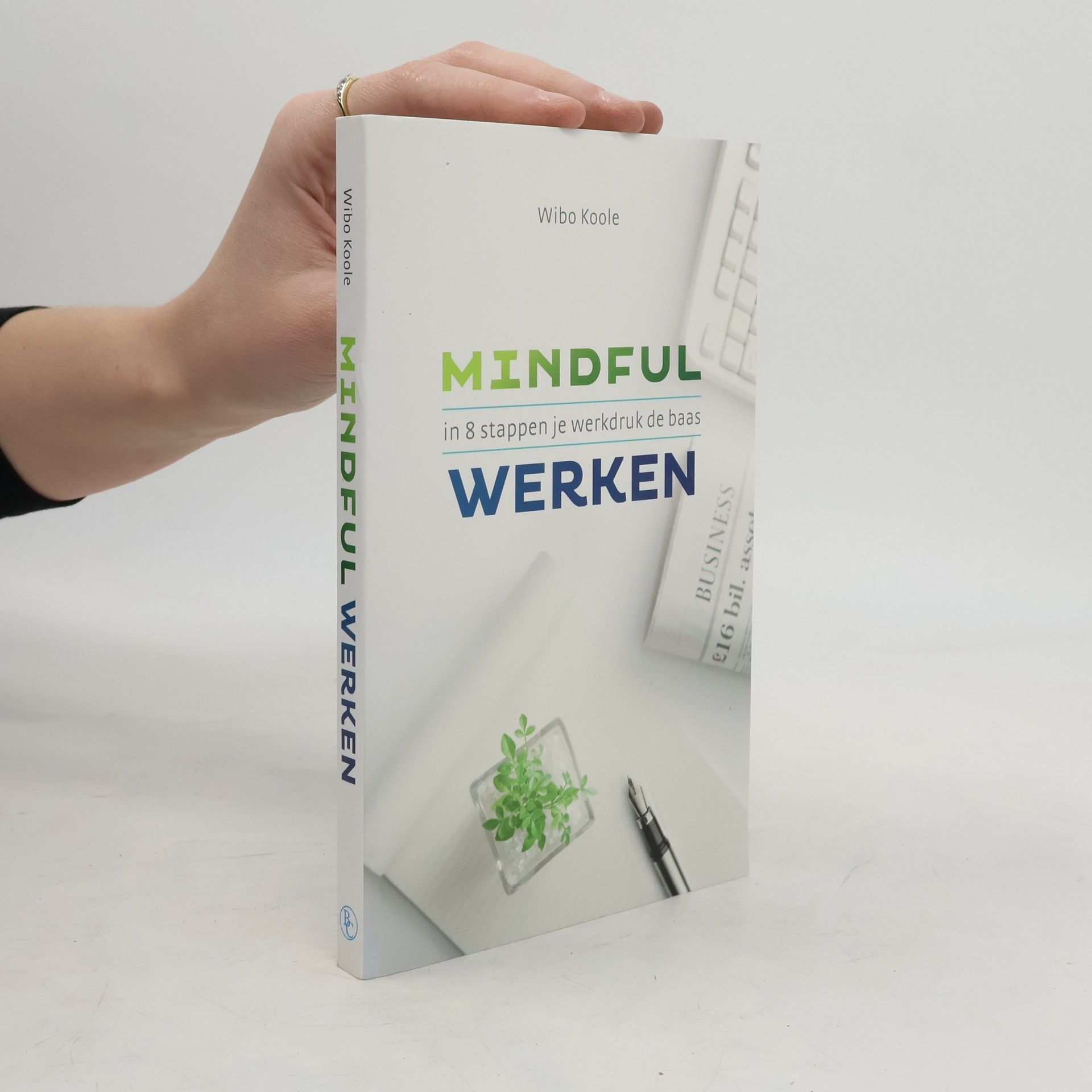 Wibo Koole Mindful werken