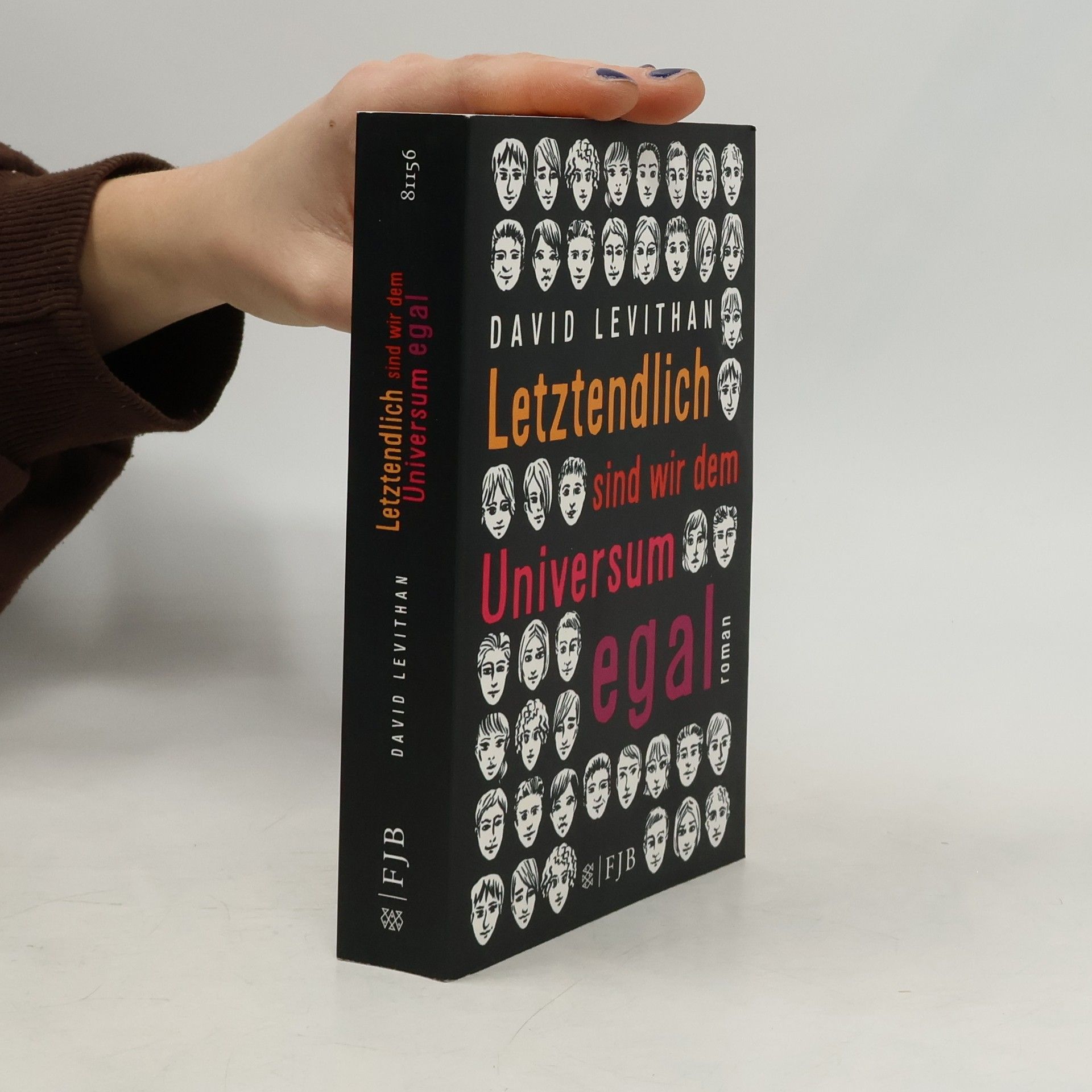 David Levithan Letztendlich sind wir dem Universum egal