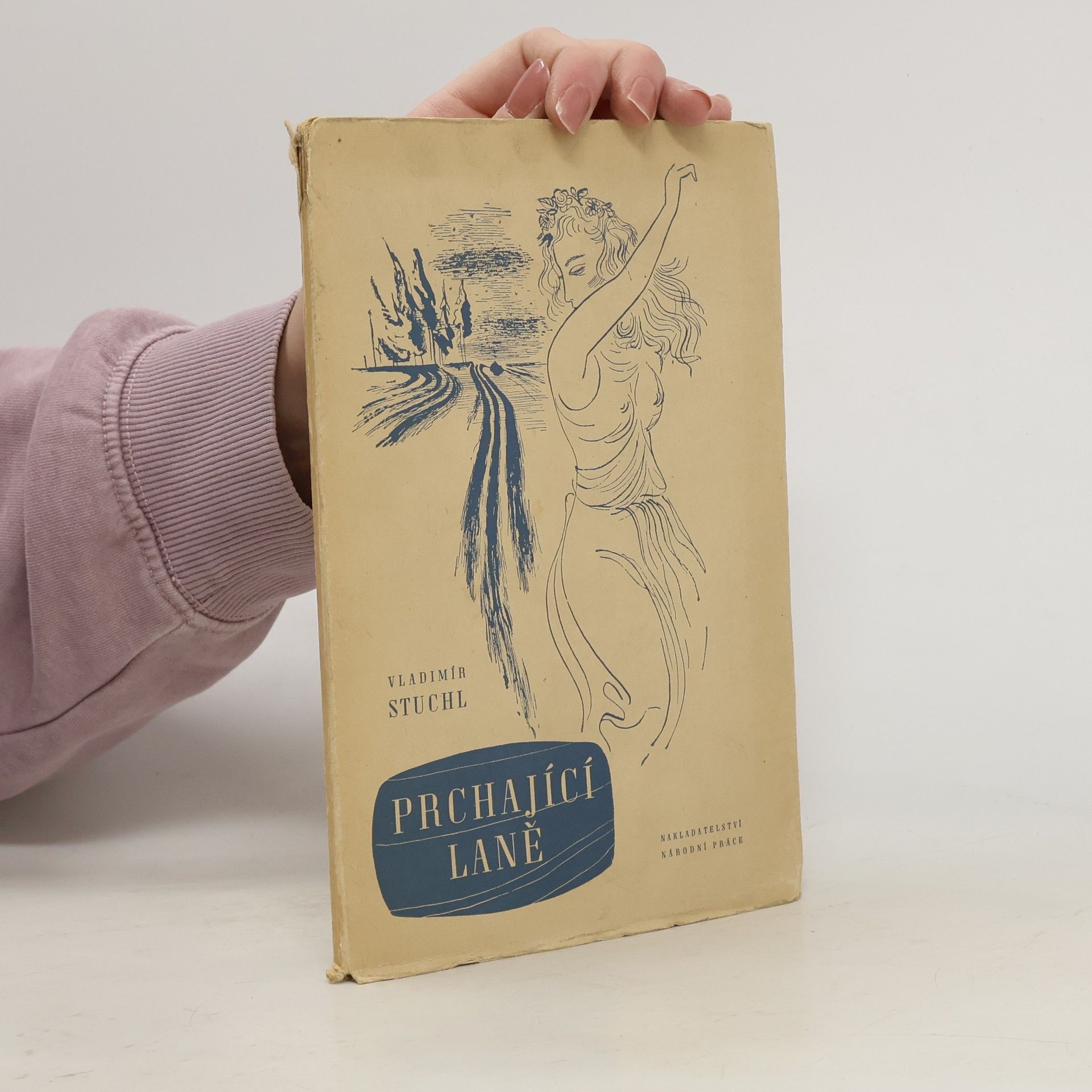 Vladimír Stuchl Prchající laně