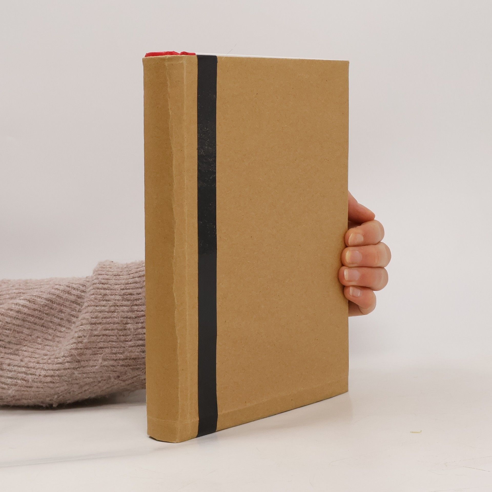 Mirko Novák Umělé neuronové sítě