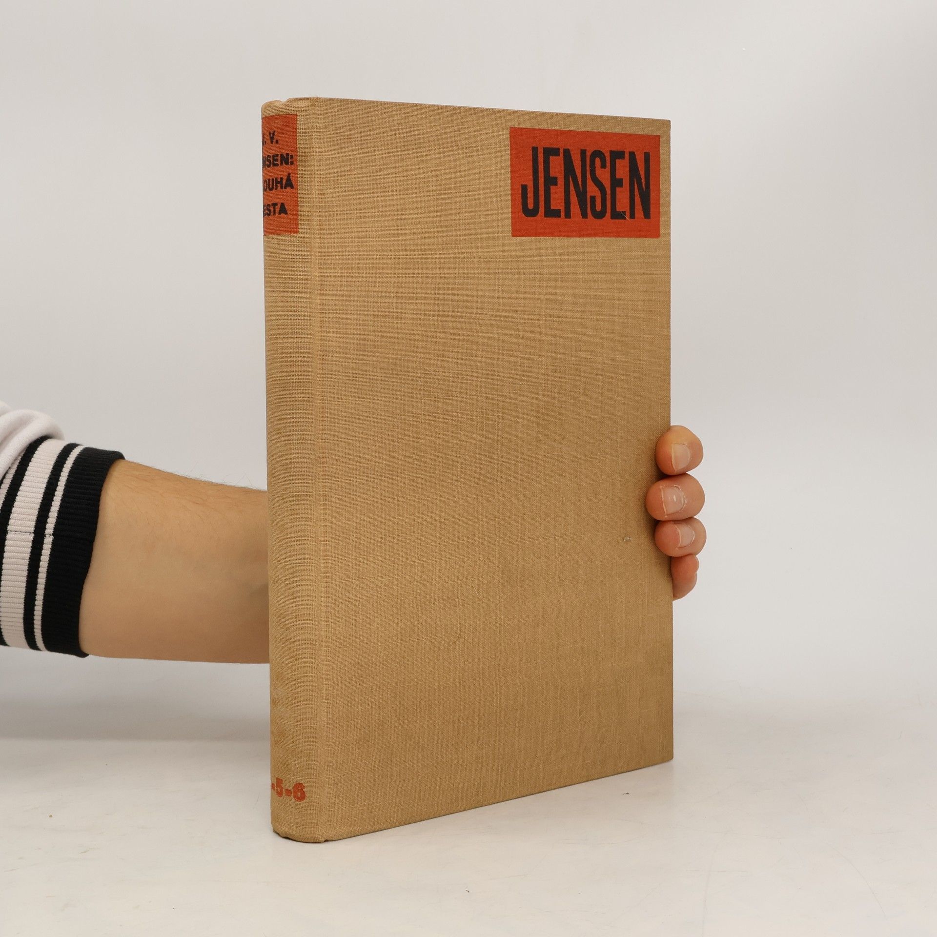 Tažení Cimbrů. Dlouhá cesta (sv. VI., díl VI.)