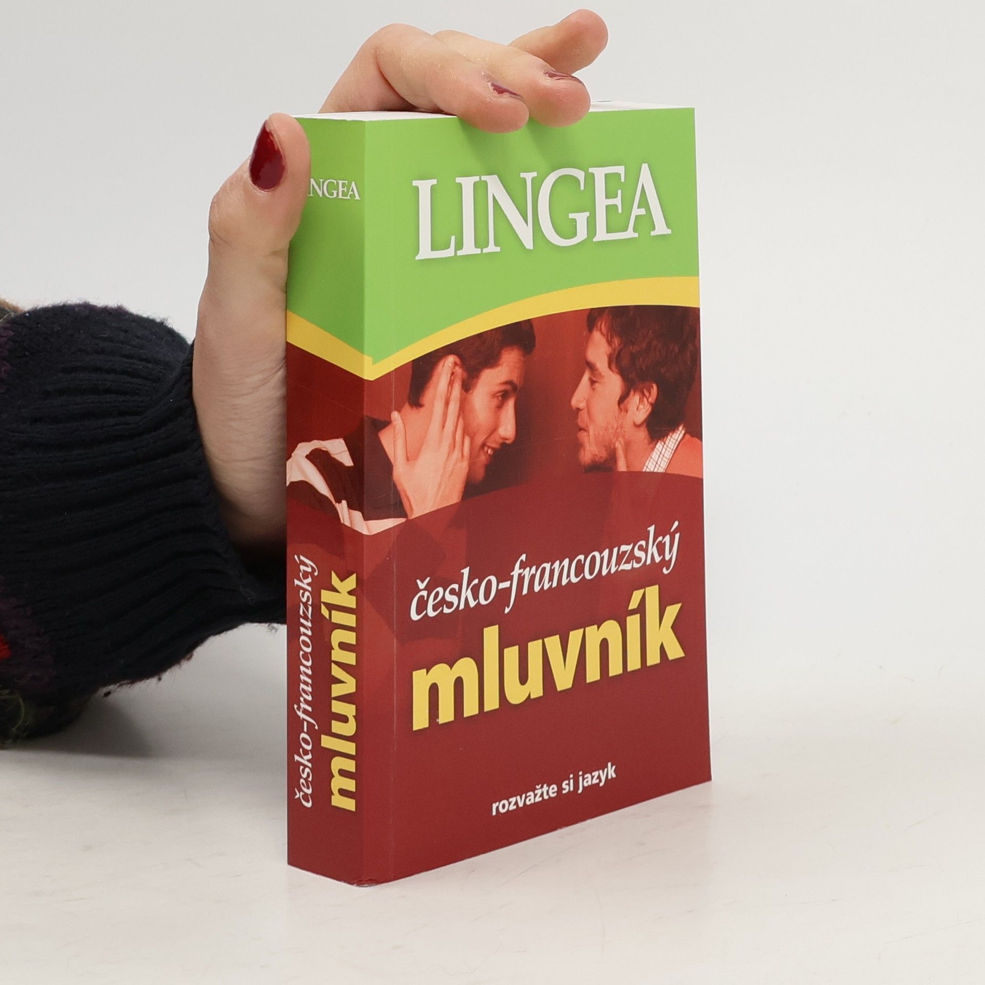 Kolektiv autorů Česko-francouzský mluvník