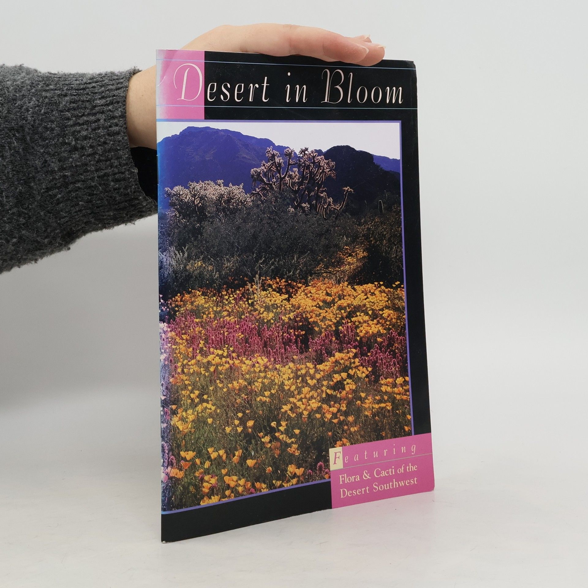 Autores varios Desert in Bloom