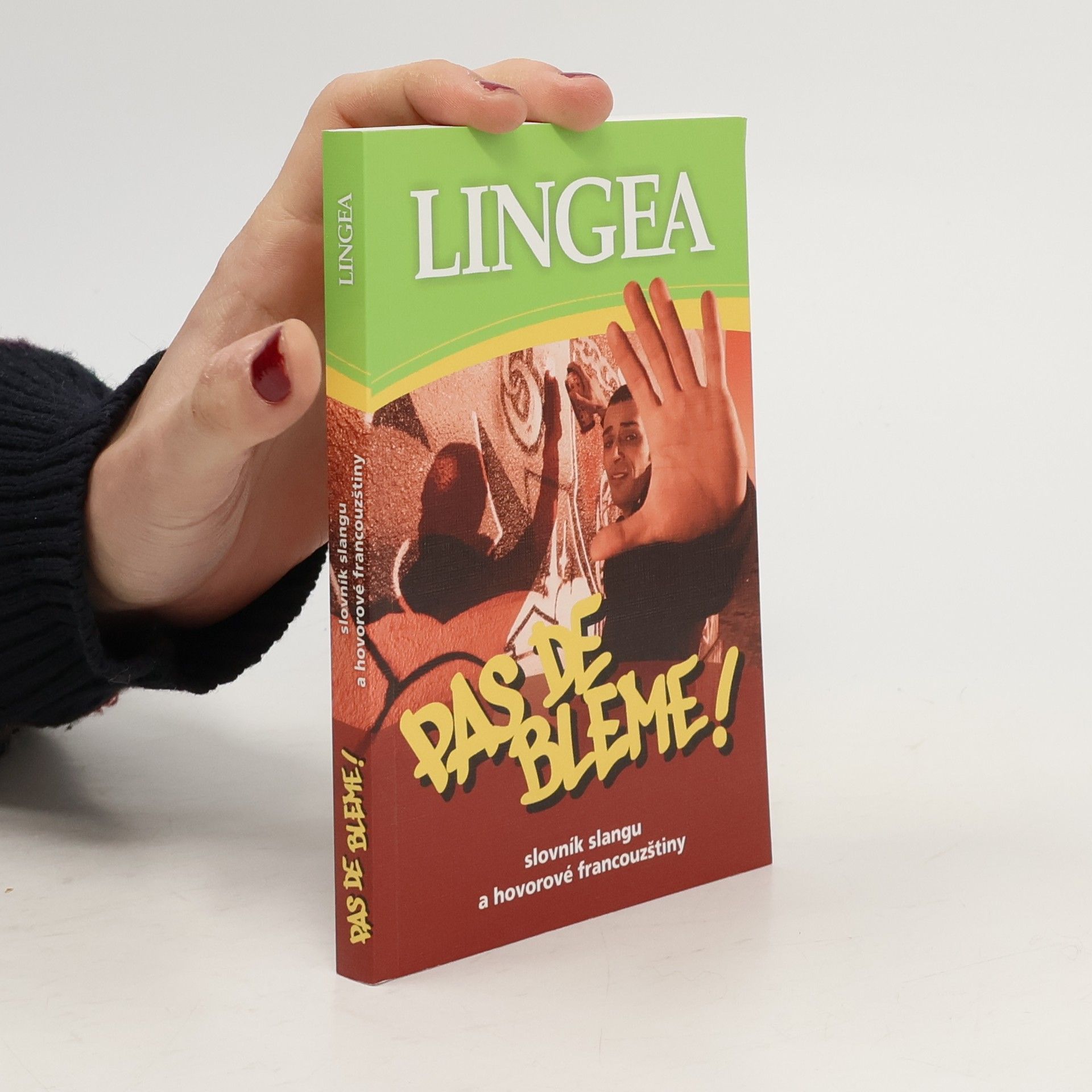 Kolektiv autorů PAS DE BLEME ! Slovník slangu a hovorové francouzštiny