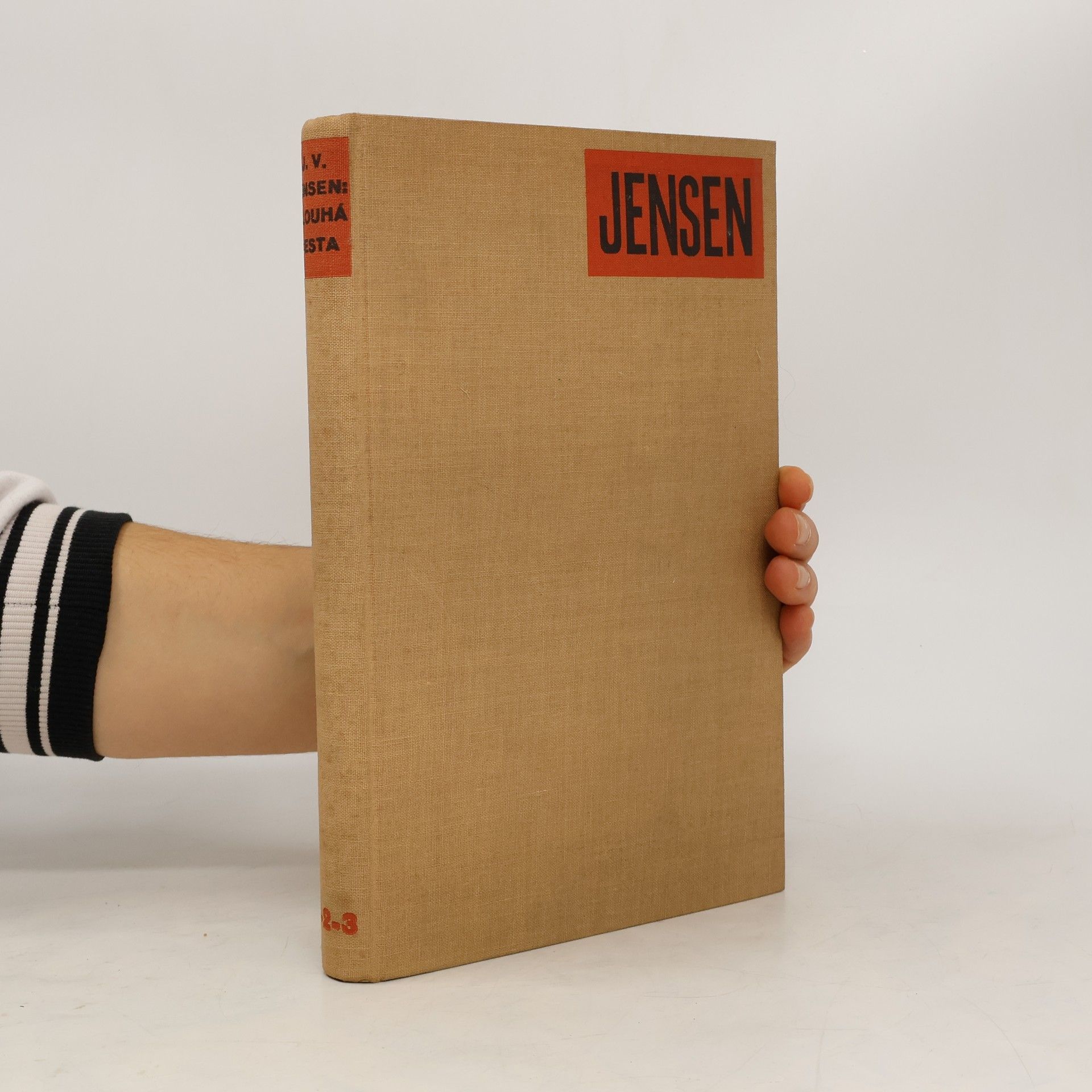 Dlouhá cesta. Díl III - Norne-Gaest