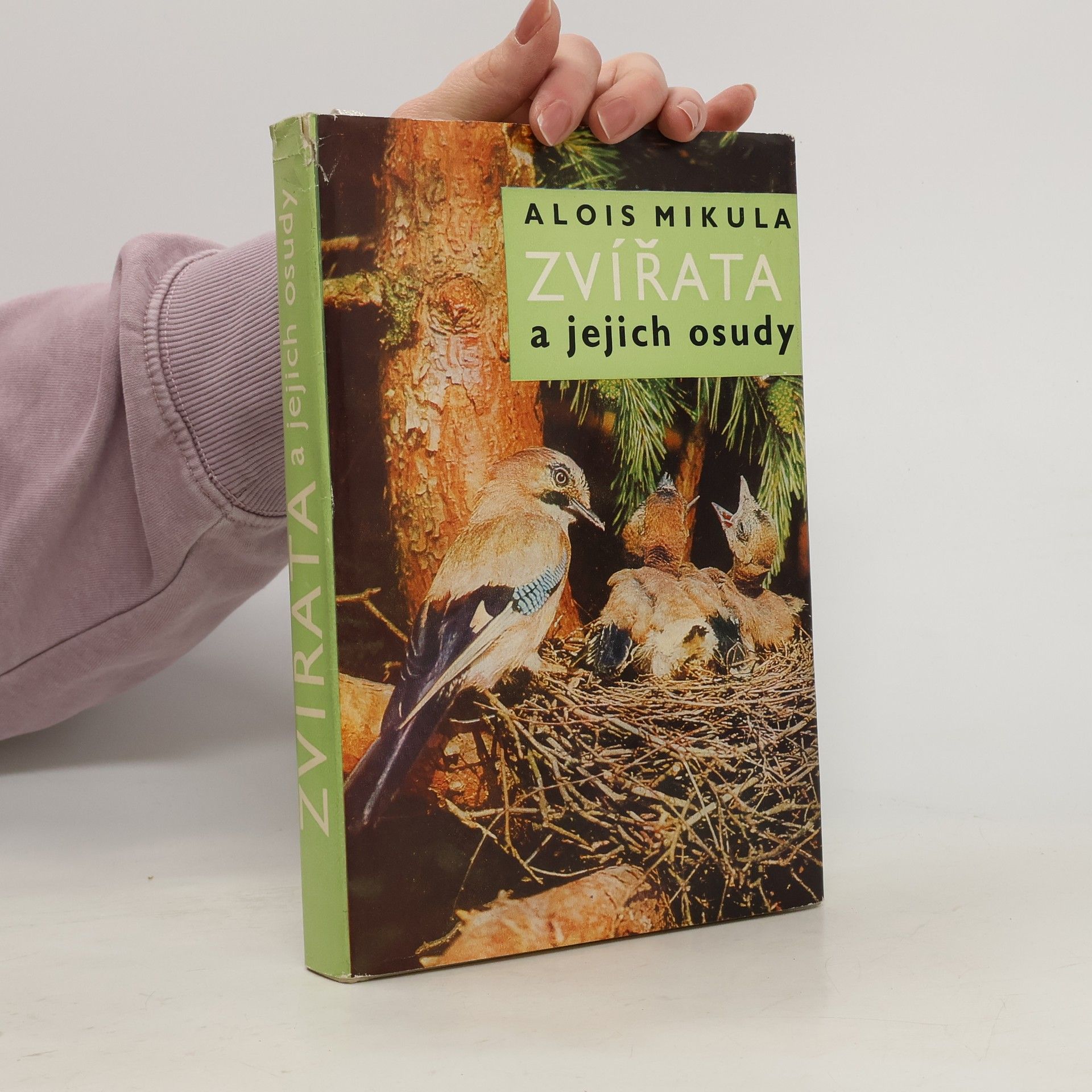 Zvířata a jejich osudy