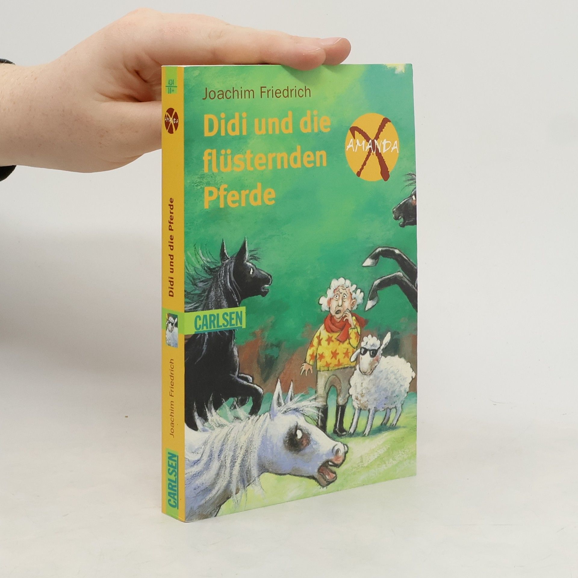 Didi und die flüsternden Pferde. Amanda X