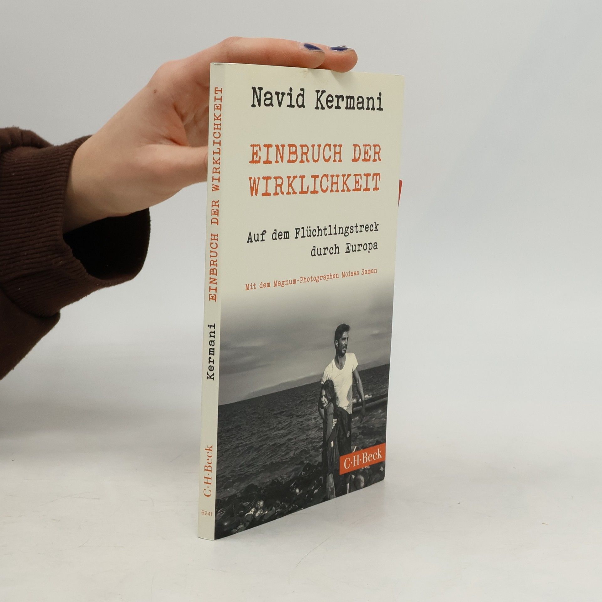 Navid Kermani Einbruch der Wirklichkeit