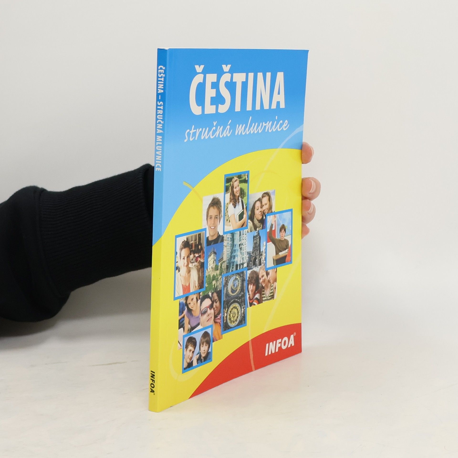 Čeština. Stručná mluvnice