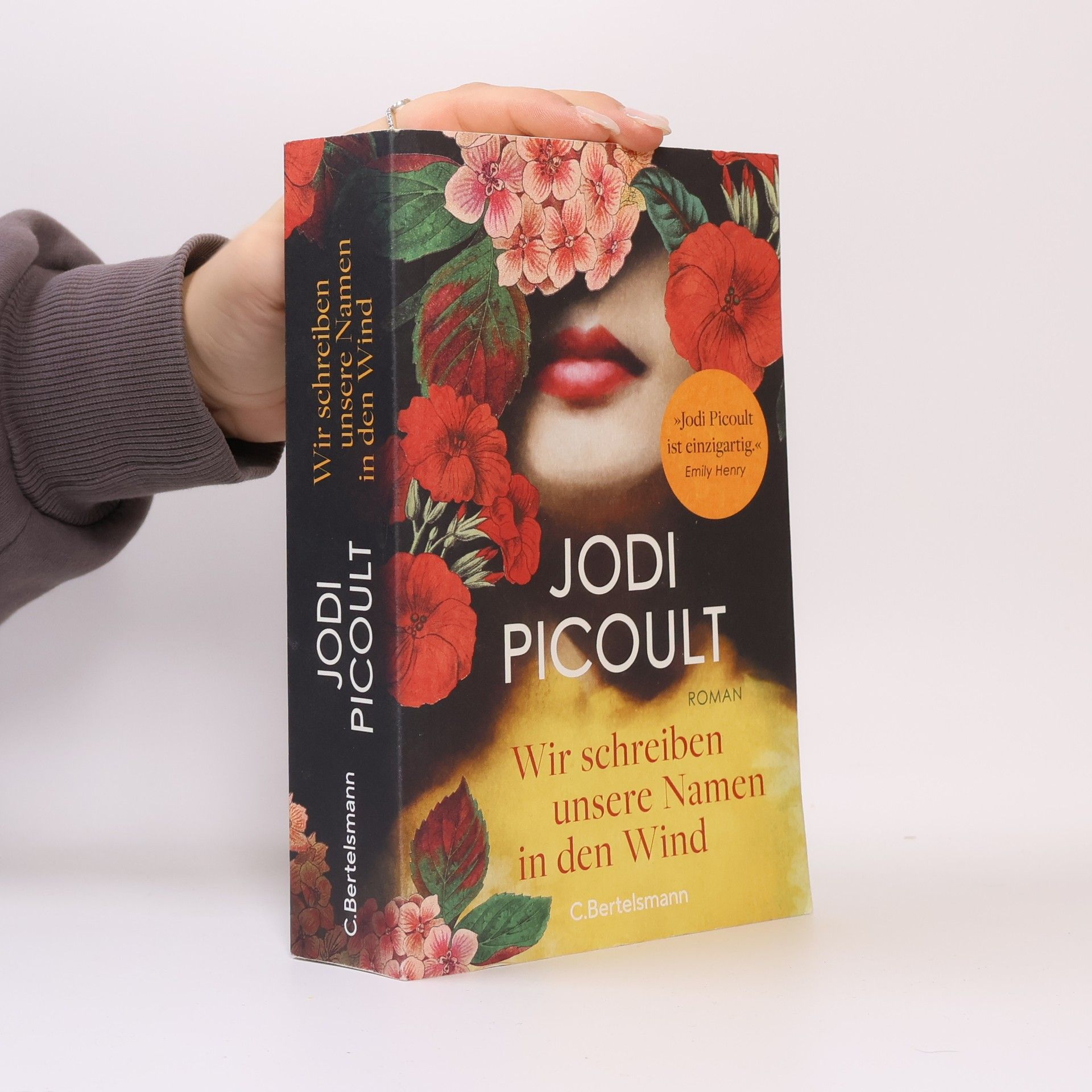 Jodi Picoult Wir schreiben unsere Namen in den Wind