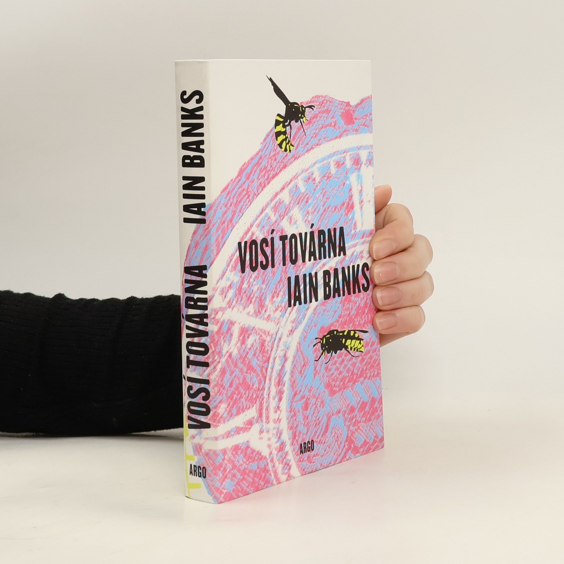 Iain Banks Vosí továrna