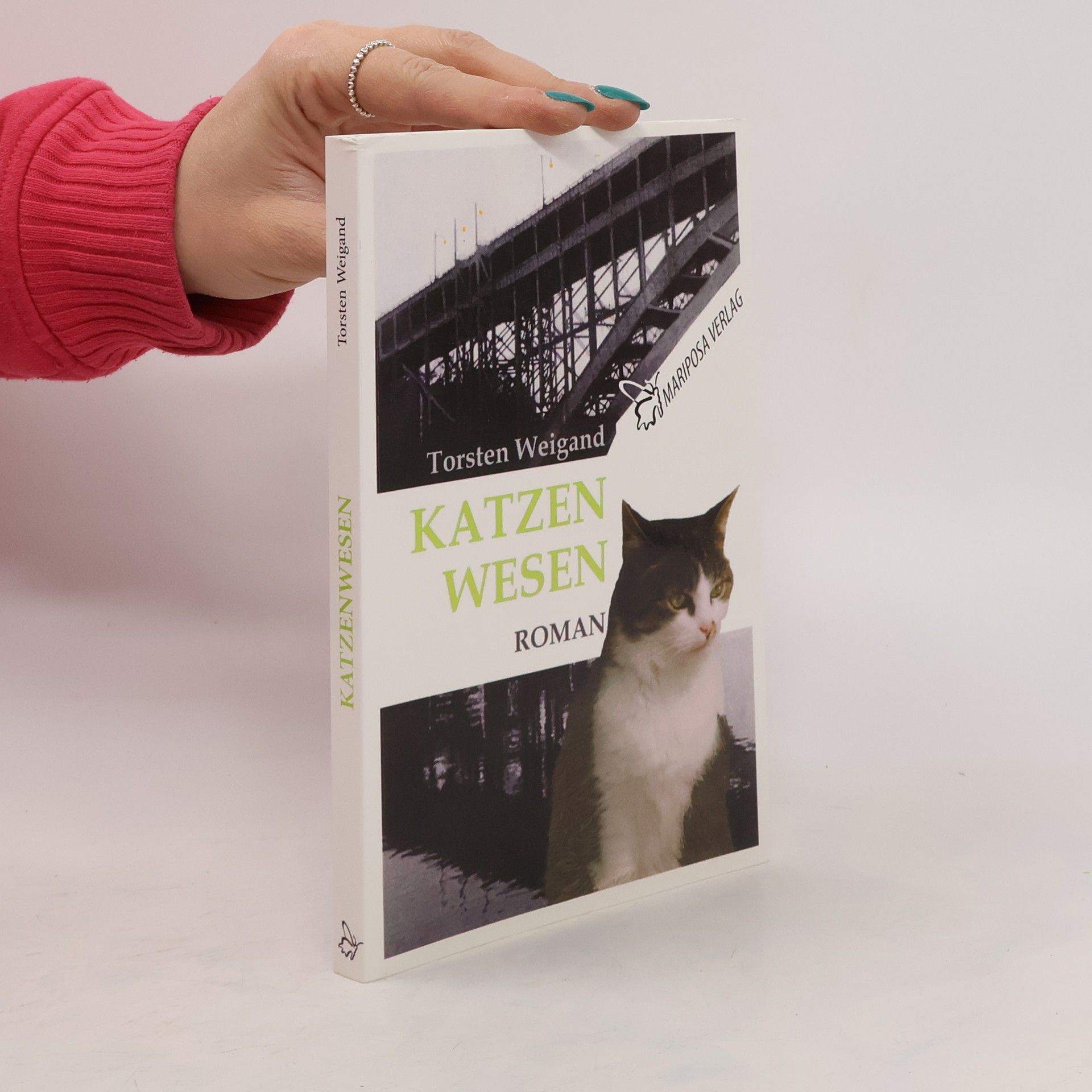 Katzenwesen