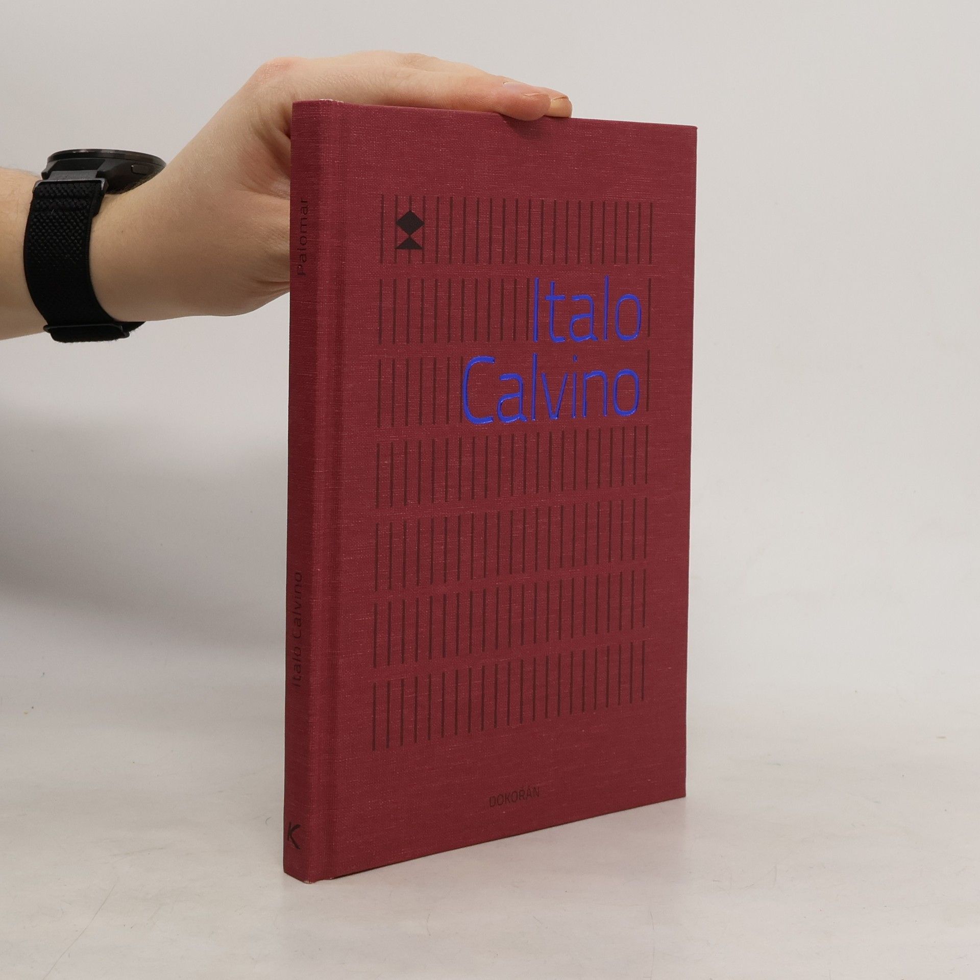 Italo Calvino Palomar
