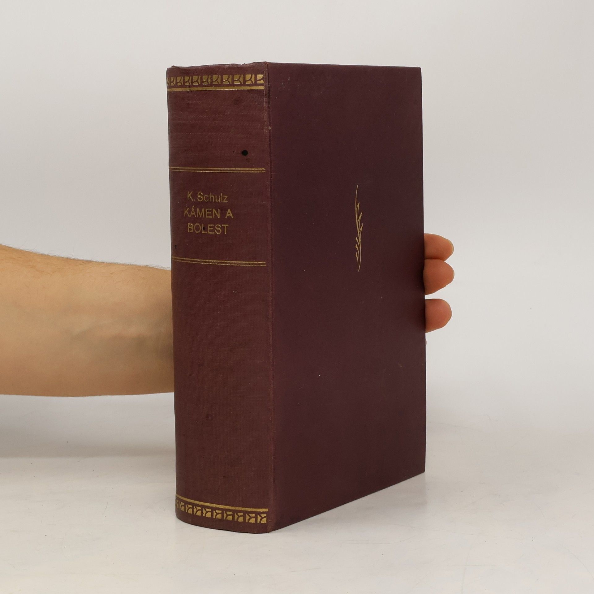 Karel Schulz Kámen a bolest. Díl I.