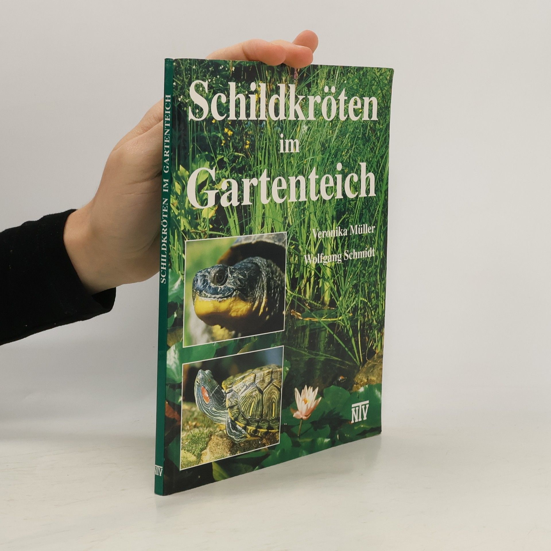 Veronika Müller Schildkröten im Gartenteich