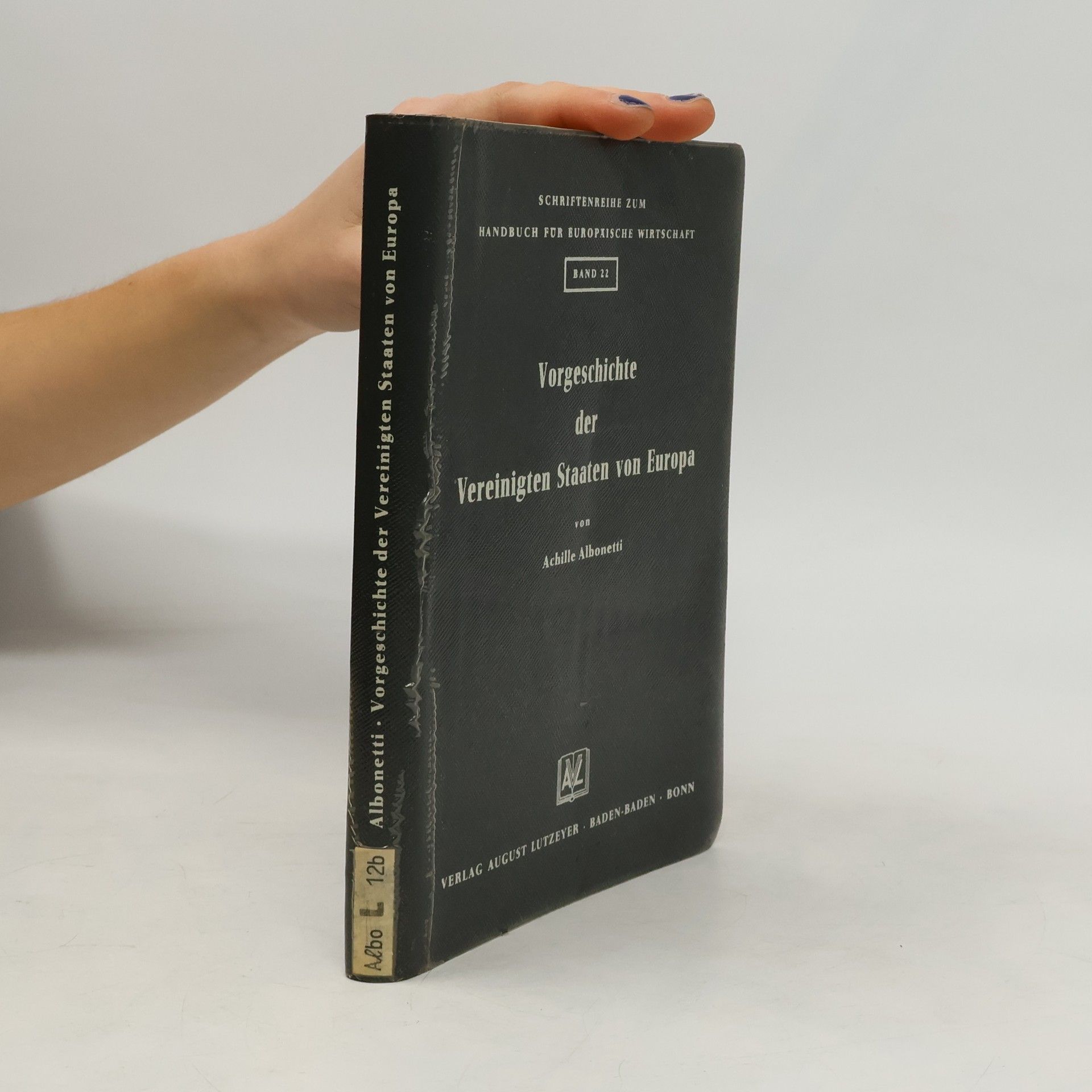 Vorgeschichte der Vereinigten Staaten von Europa