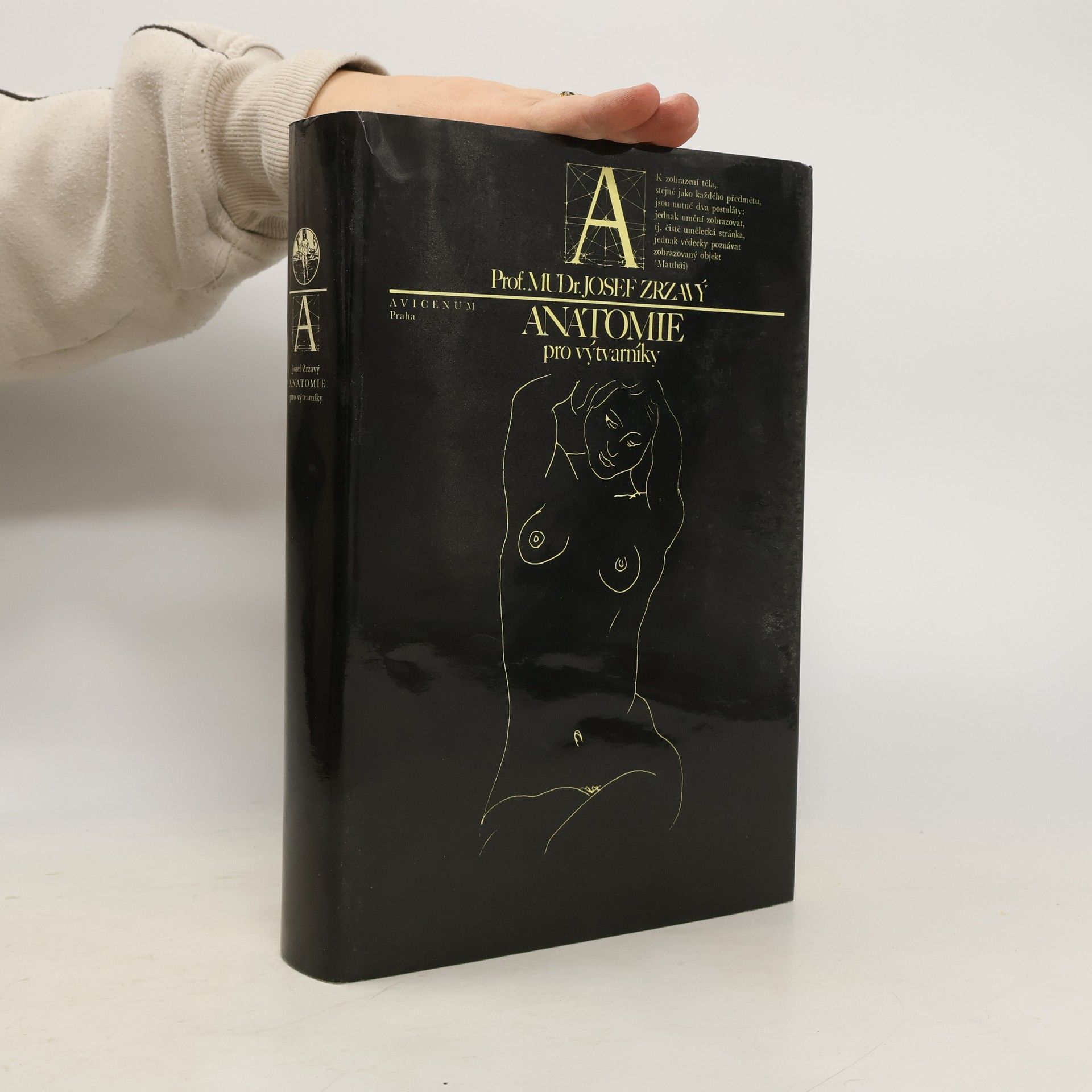 Anatomie pro výtvarníky