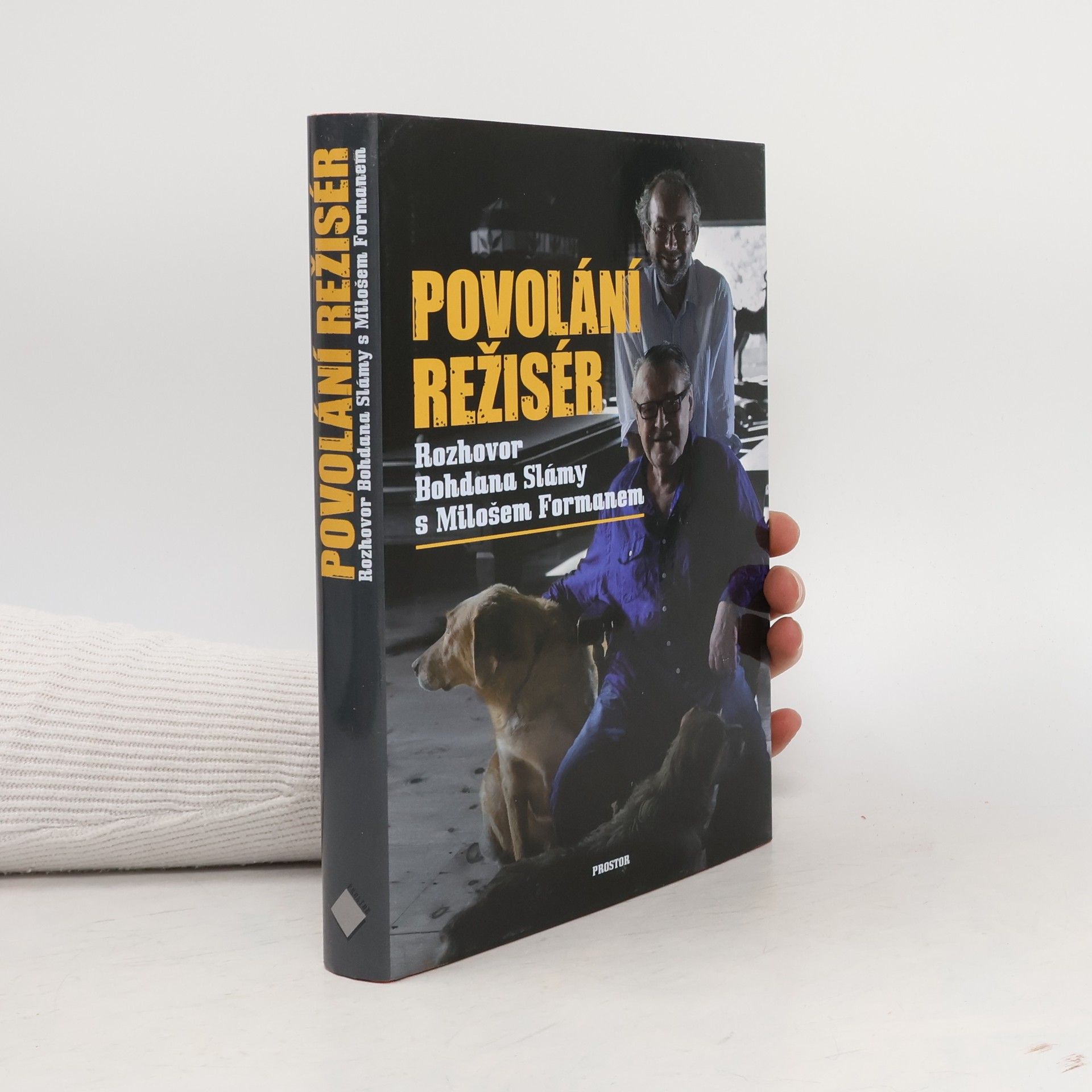 Povolání režisér