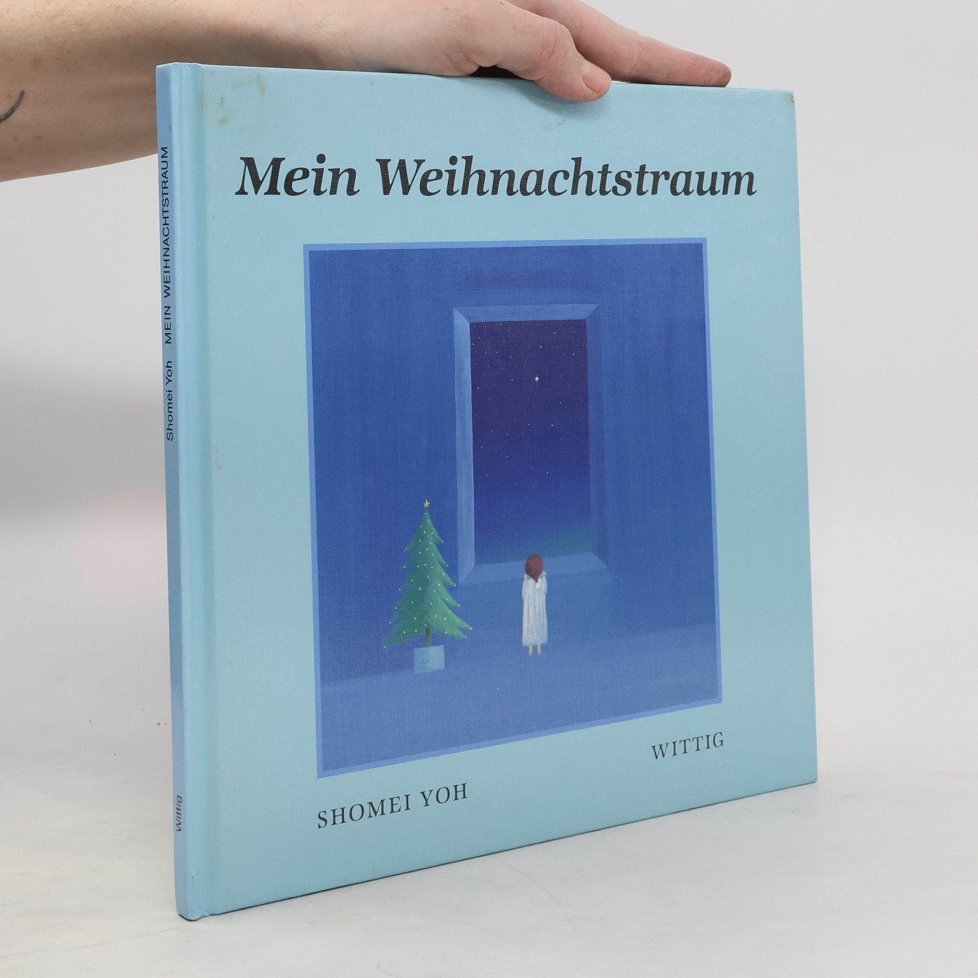 Mein Weihnachtstraum