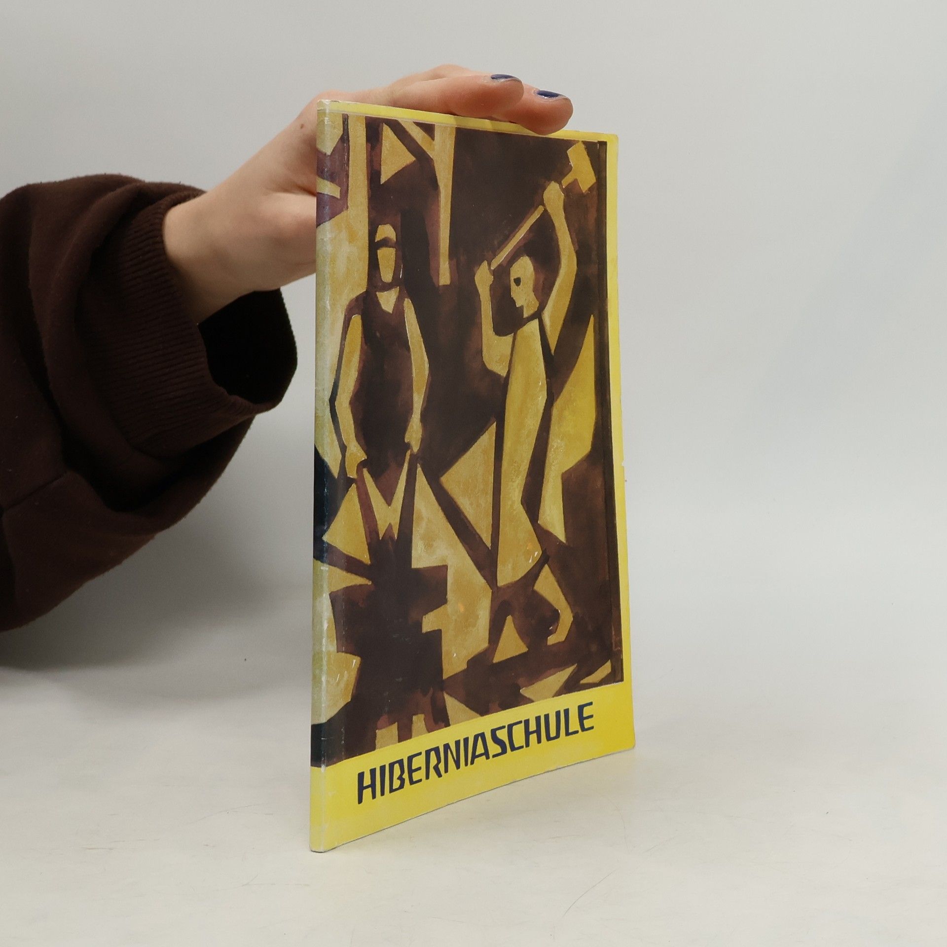 Collectif d'auteurs Hiberniaschule