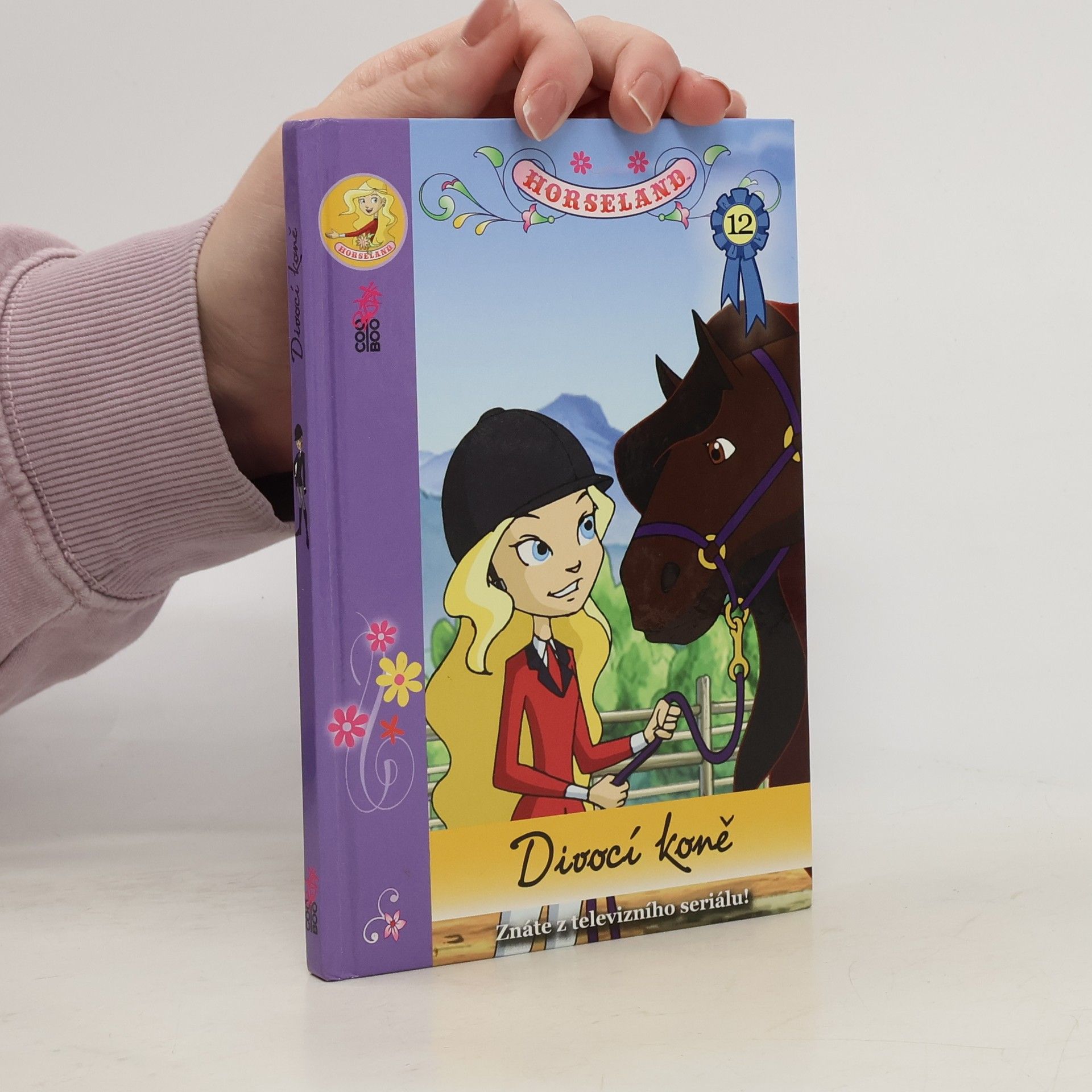 Michal Kolezsar Divocí koně