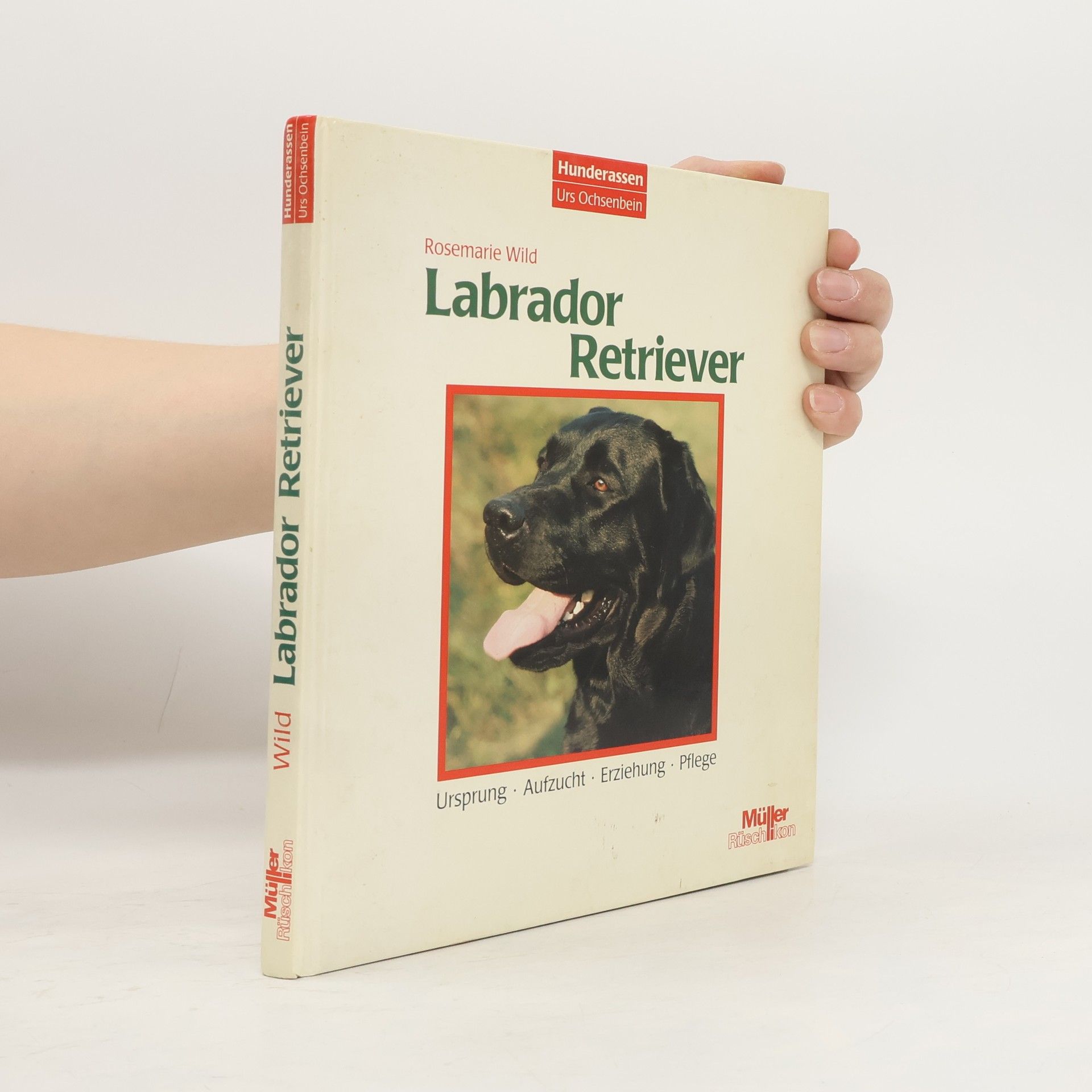 Rosemarie Wild Labrador-Retriever