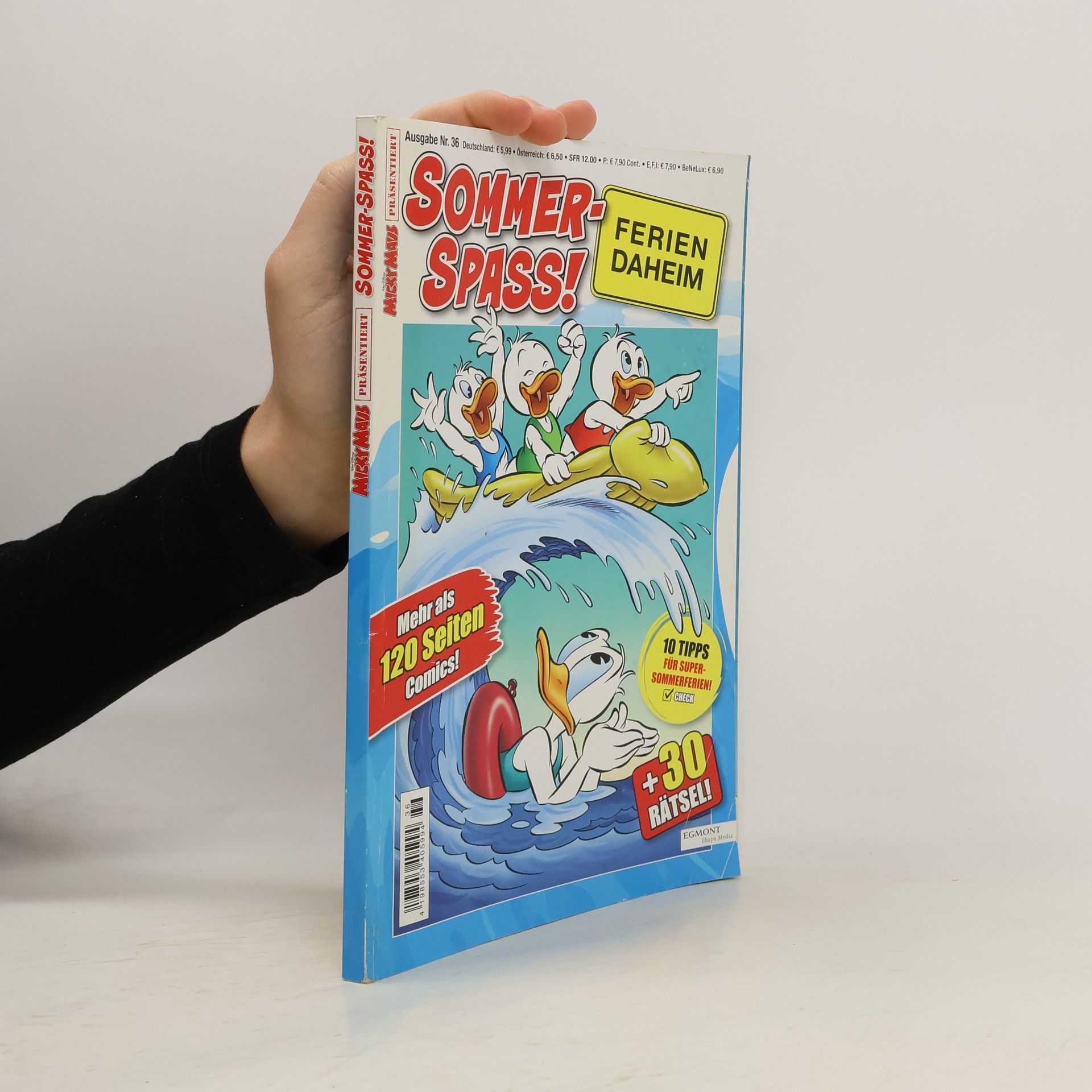 Collectif d'auteurs Sommer-Spass! 36. Ferien Daheim