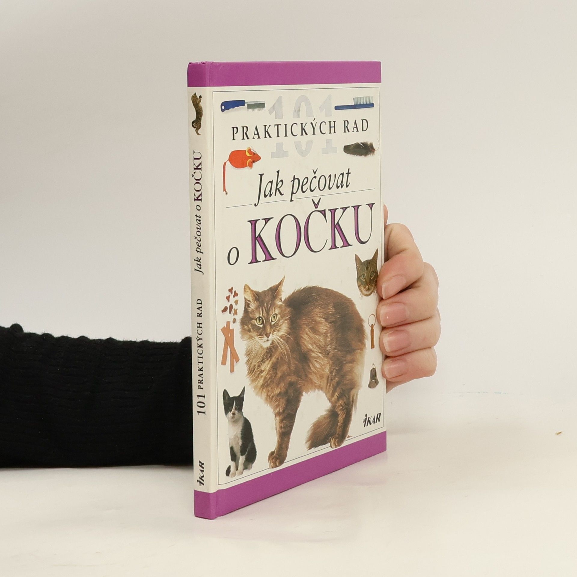 Jak pečovat o kočku