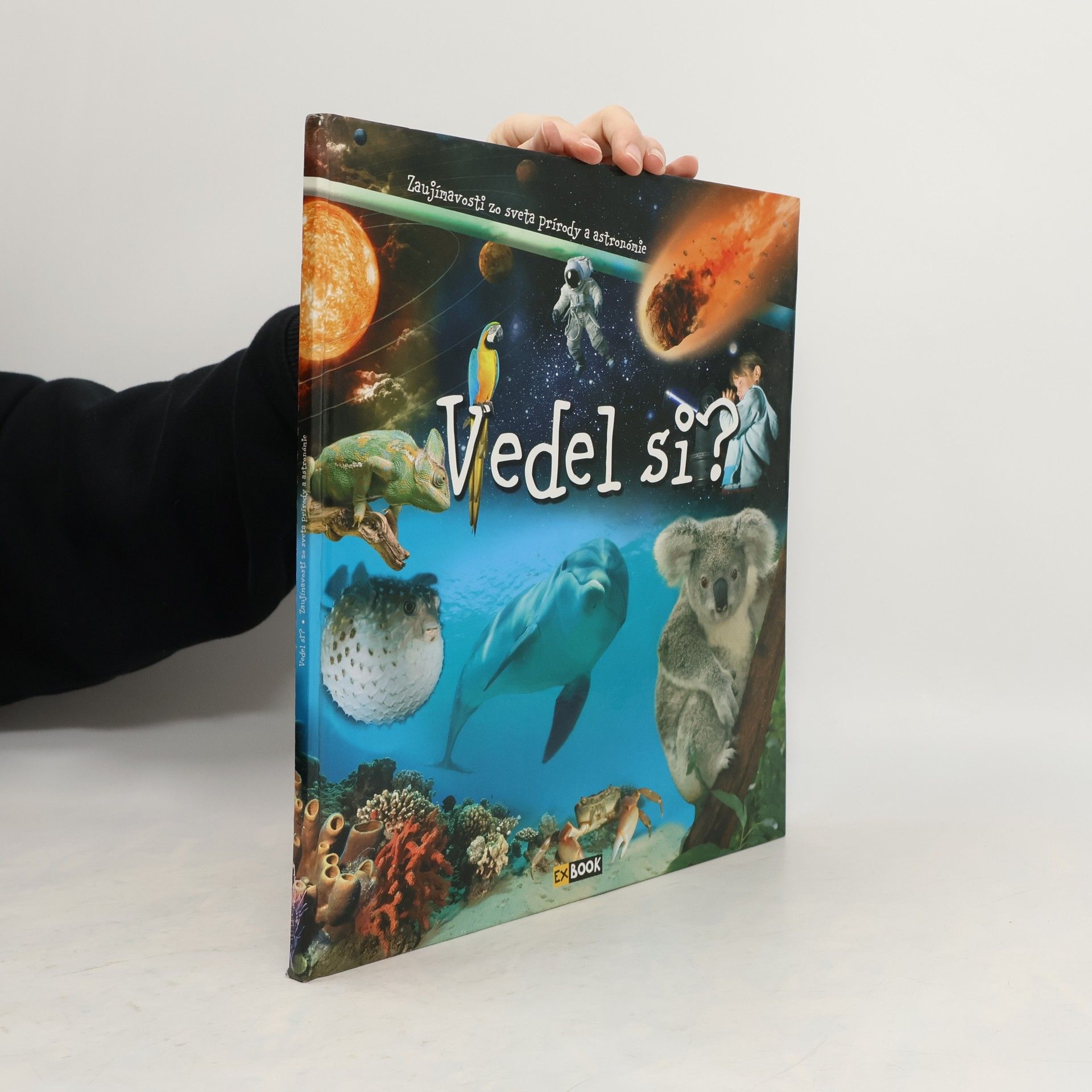 Autorenkollektiv Vedel si?