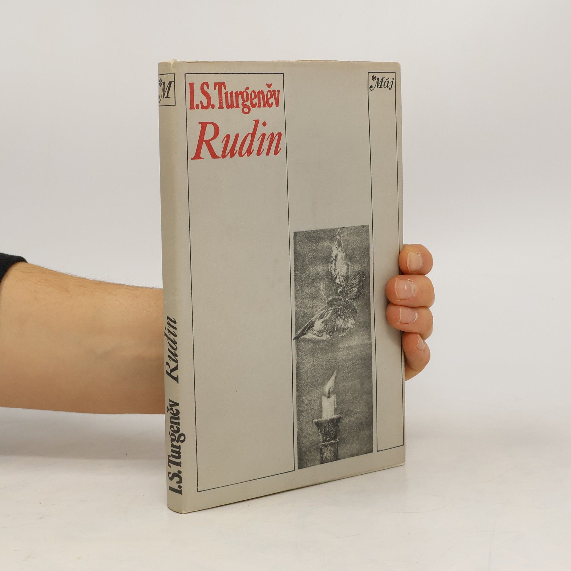 Ivan Sergejevič Turgenev Rudin