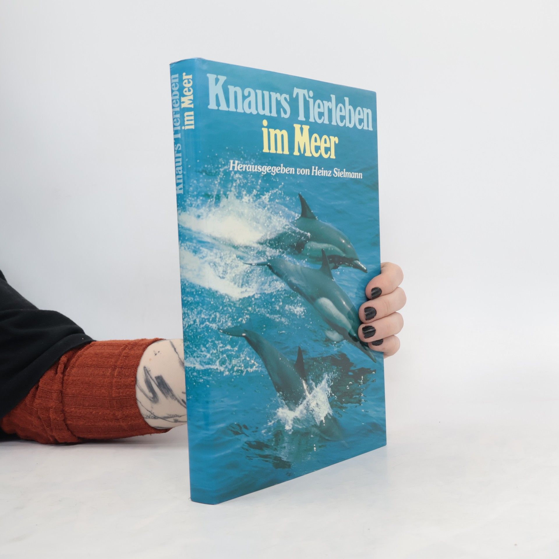 Autorenkollektiv Knaurs Tierieben im Meer