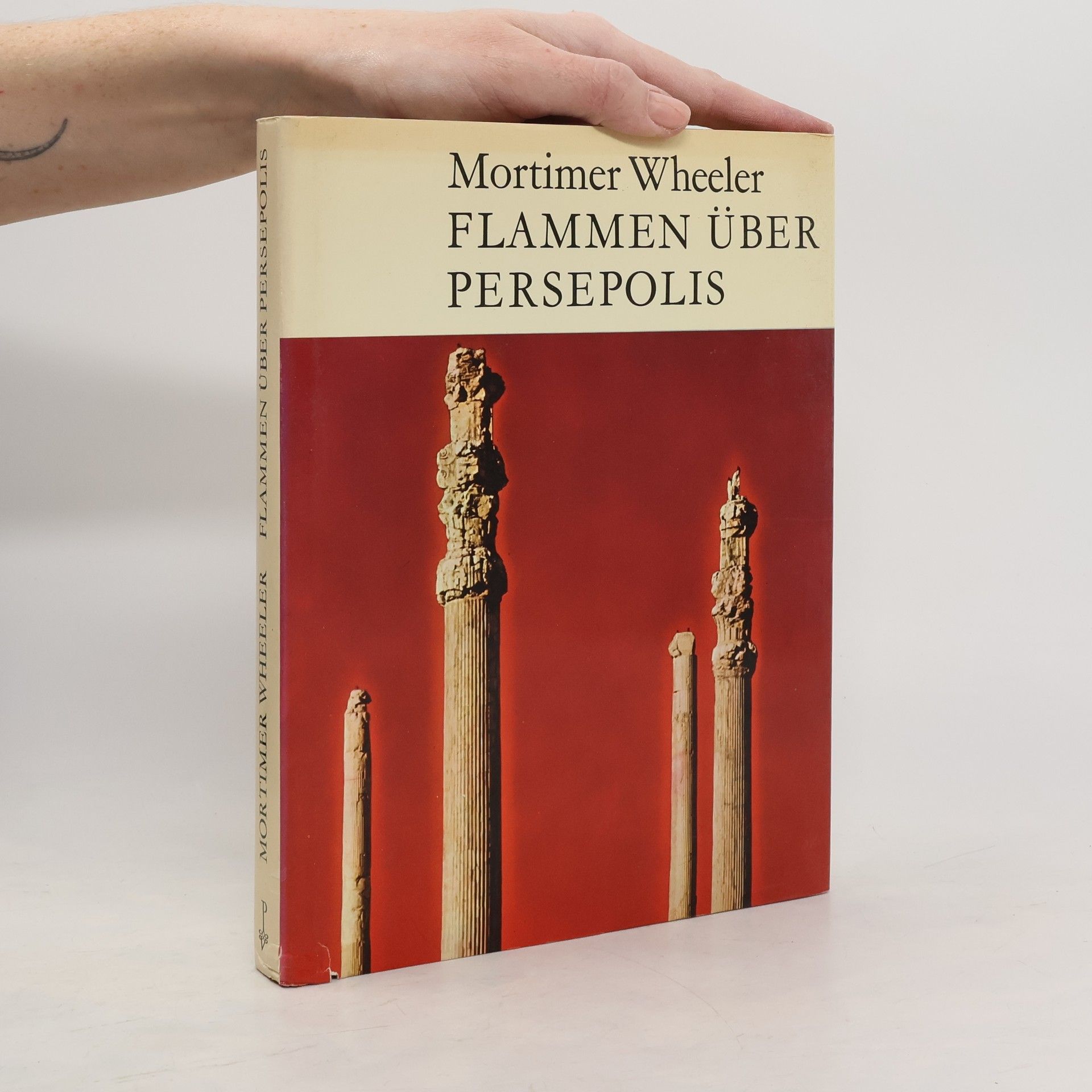 Flammen über Persepolis