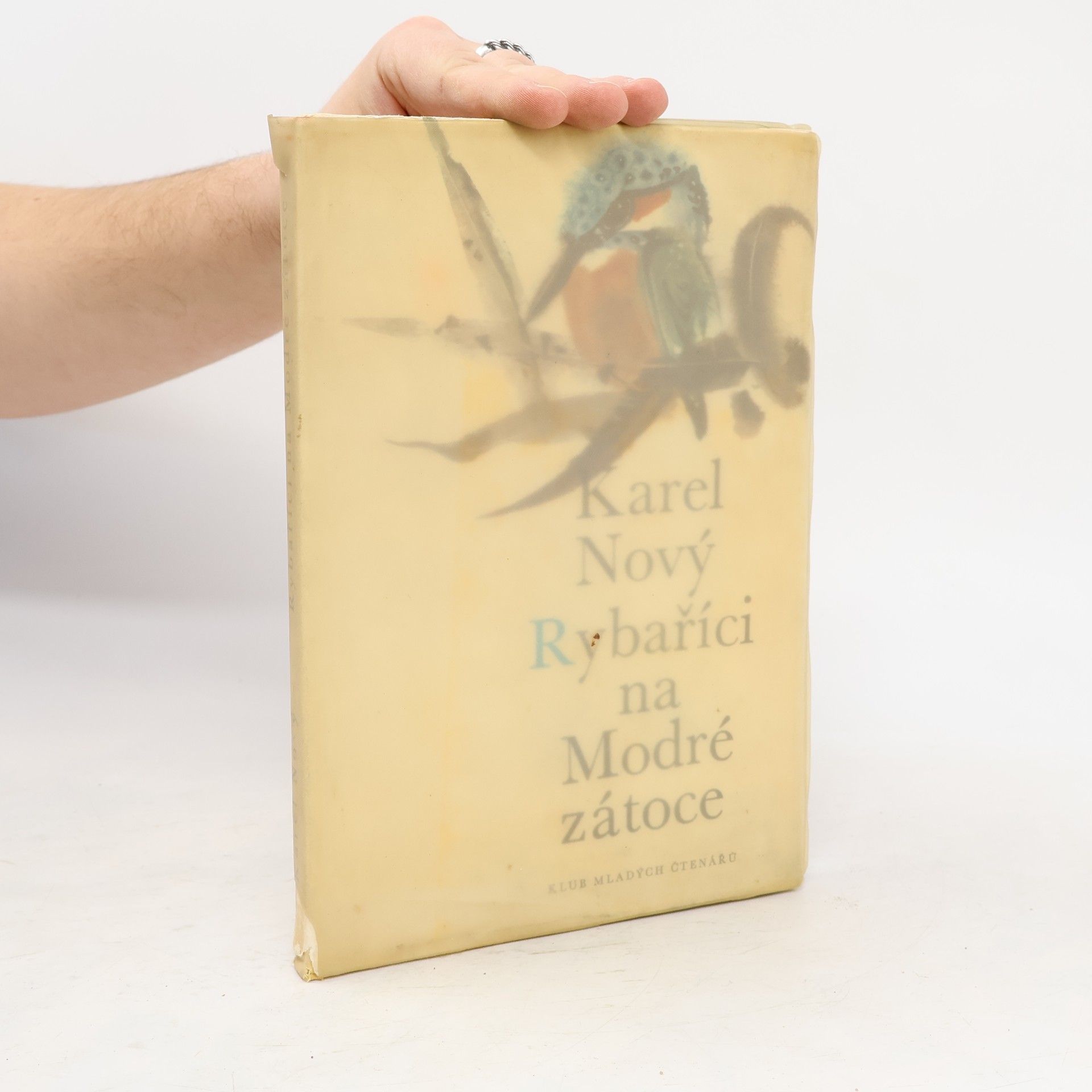 Karel Nový Rybaříci na Modré zátoce